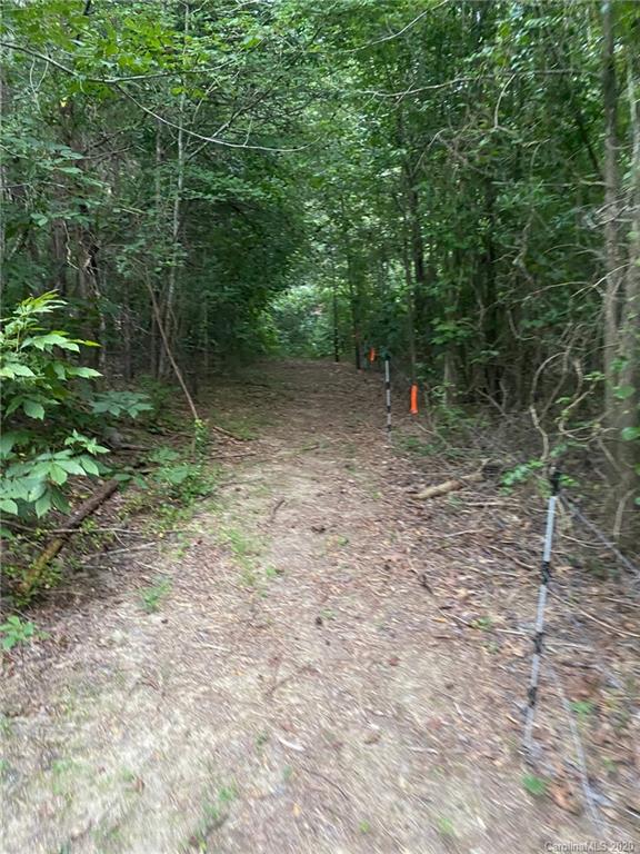 265 Pinecone Road Peachland, NC 28133 - Photo 34 of 35 a view of a forest with trees in the background