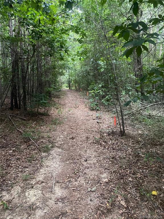 265 Pinecone Road Peachland, NC 28133 - Photo 35 of 35 a view of a forest with trees in the background