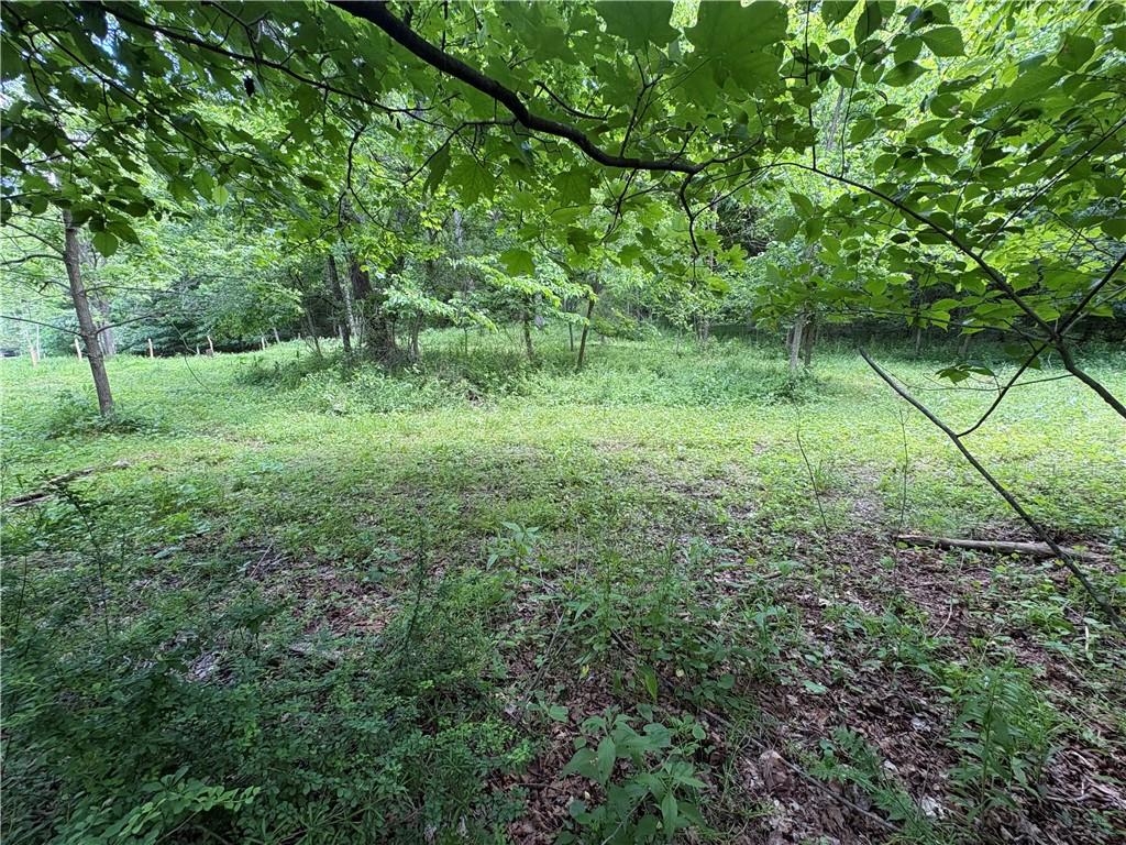 588 Georgetown Road Georgetown, PA 15043 - Photo 6 of 14
