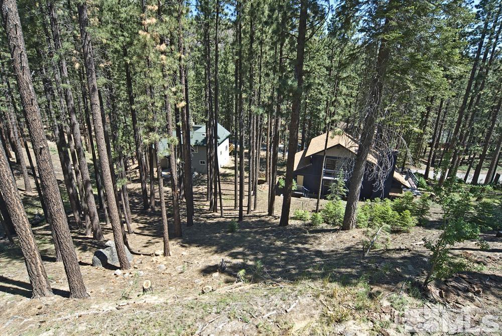 190 Pinon Road Markleeville, CA 96120 - Photo 31 of 31 a view of a yard covered in the forest