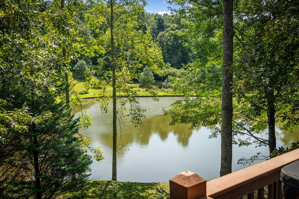 35 Wunder Bear Ridge Morganton, GA 30560 - Photo 120 of 123 Gallery Image 120