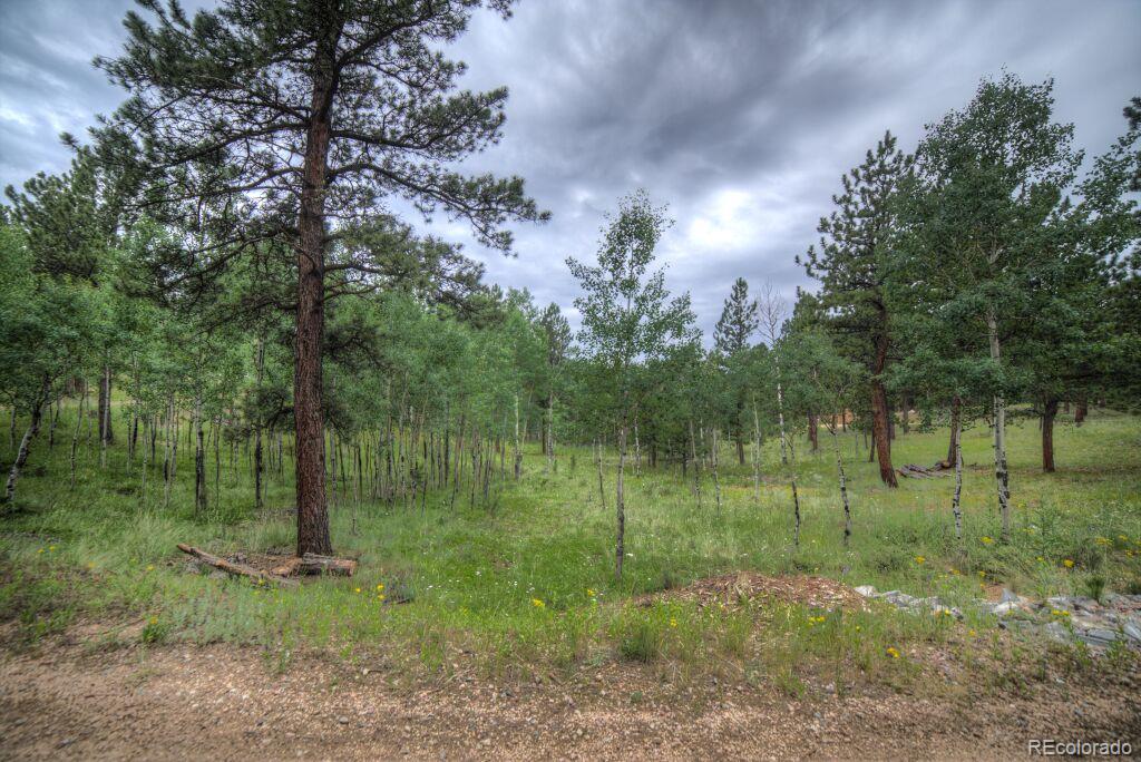 264 Hangmans Road Bailey, CO 80421 - Photo 30 of 33 a view of a green field