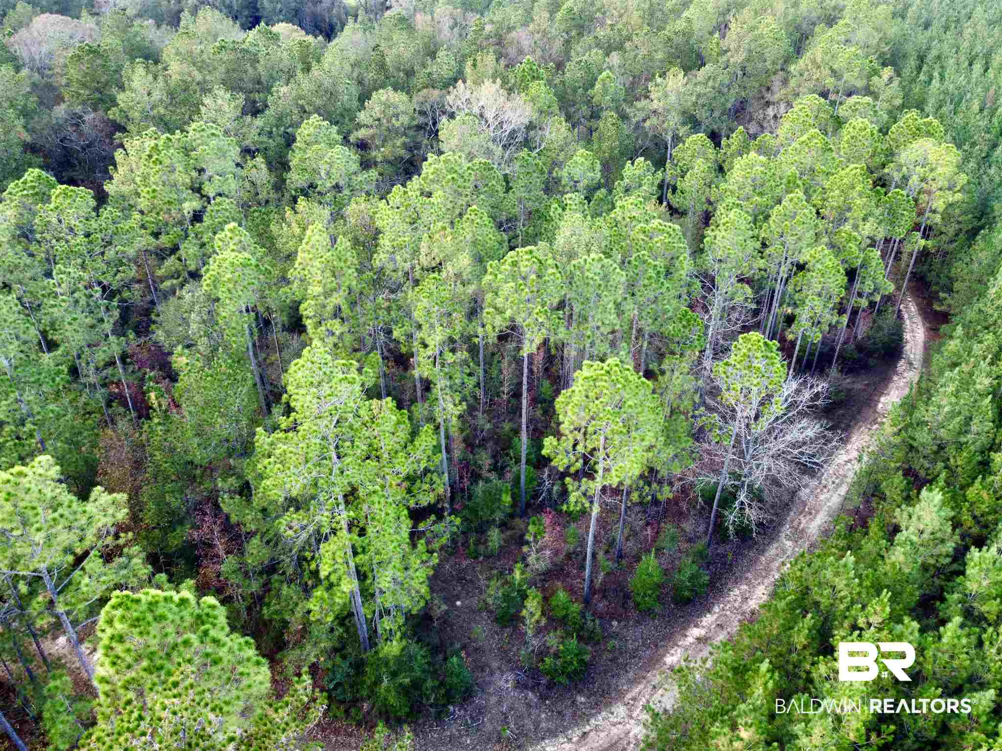0 Whitetail Run Chatom, AL 36518 - Photo 12 of 29