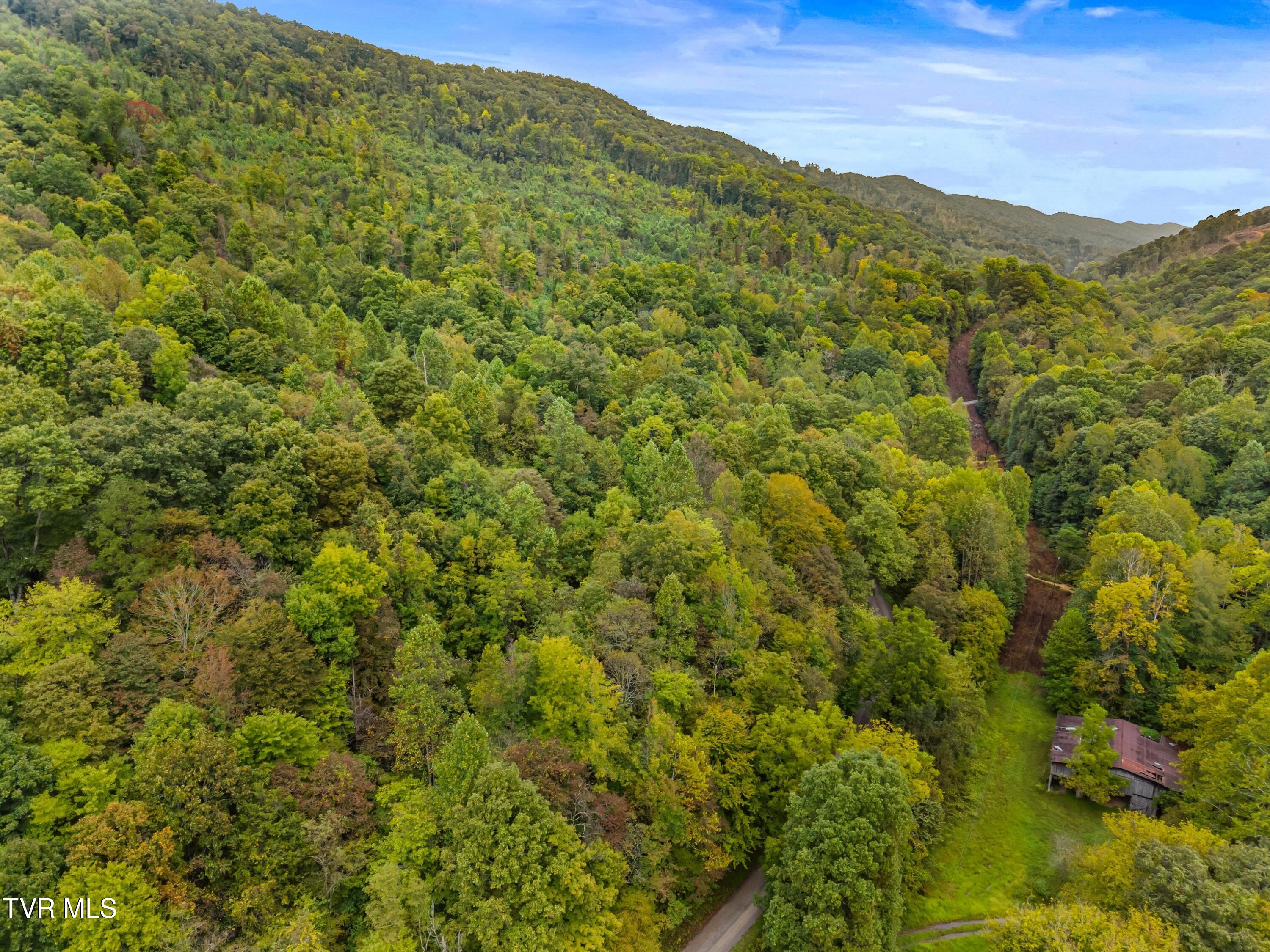 1775 Snake Hollow Road, Unit TRACT 1 Tazewell, TN 37879 - Photo 11 of 21 011-1775SnakeHollowRoad-Sneedville-TN-37