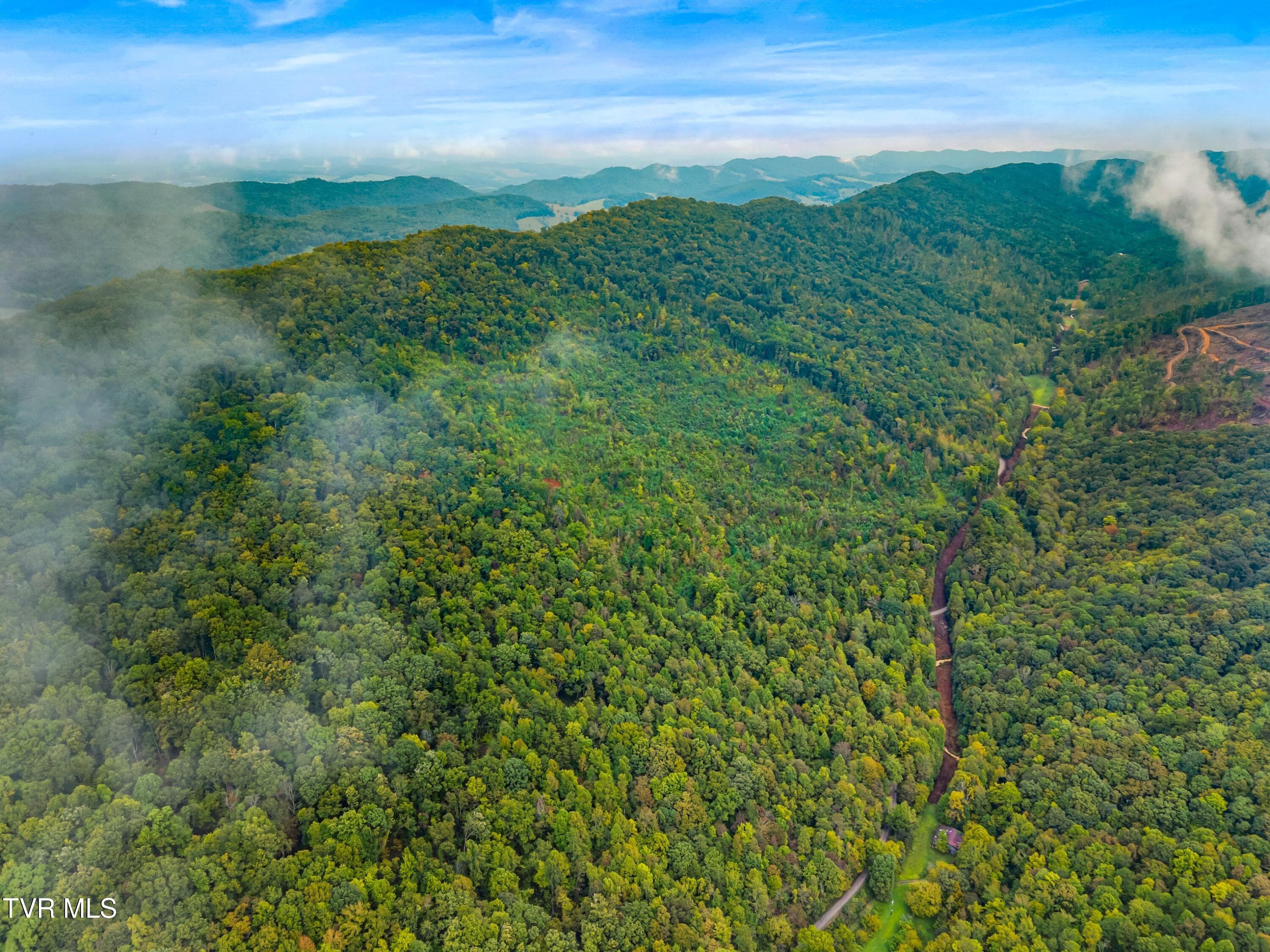 1775 Snake Hollow Road, Unit TRACT 1 Tazewell, TN 37879 - Photo 12 of 21 012-1775SnakeHollowRoad-Sneedville-TN-37