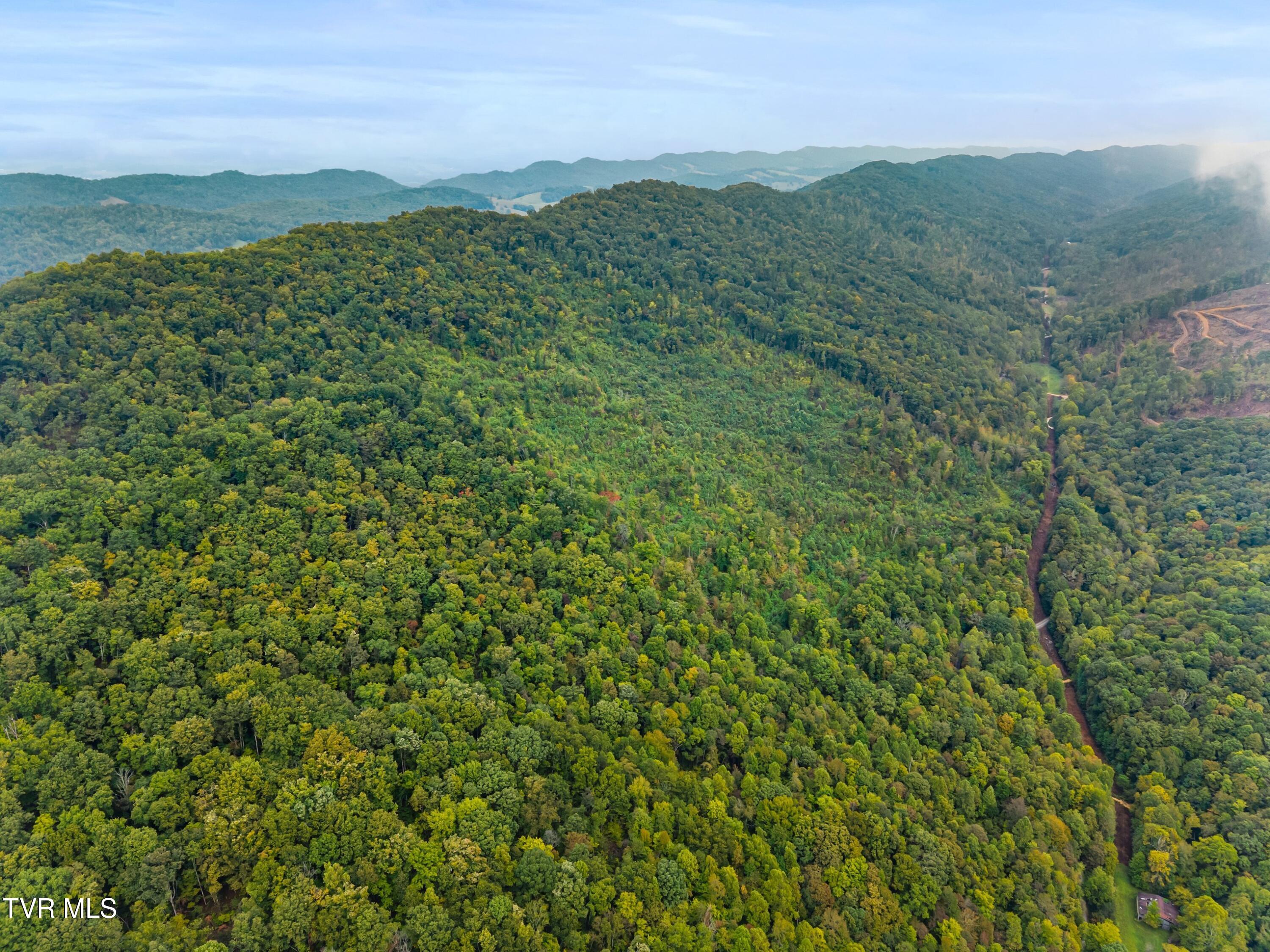1775 Snake Hollow Road, Unit TRACT 1 Tazewell, TN 37879 - Photo 13 of 21 013-1775SnakeHollowRoad-Sneedville-TN-37