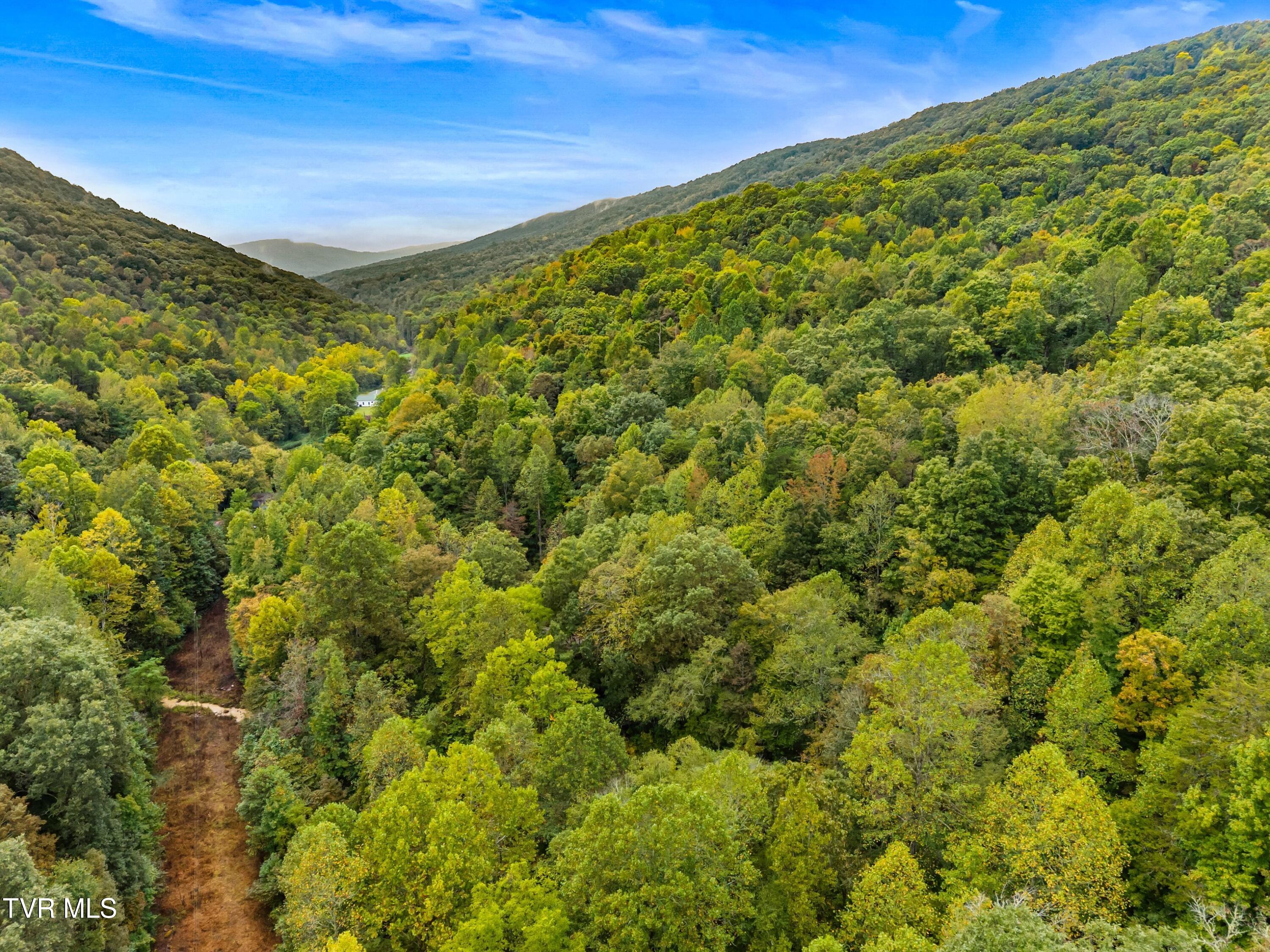 1775 Snake Hollow Road, Unit TRACT 1 Tazewell, TN 37879 - Photo 15 of 21 015-1775SnakeHollowRoad-Sneedville-TN-37