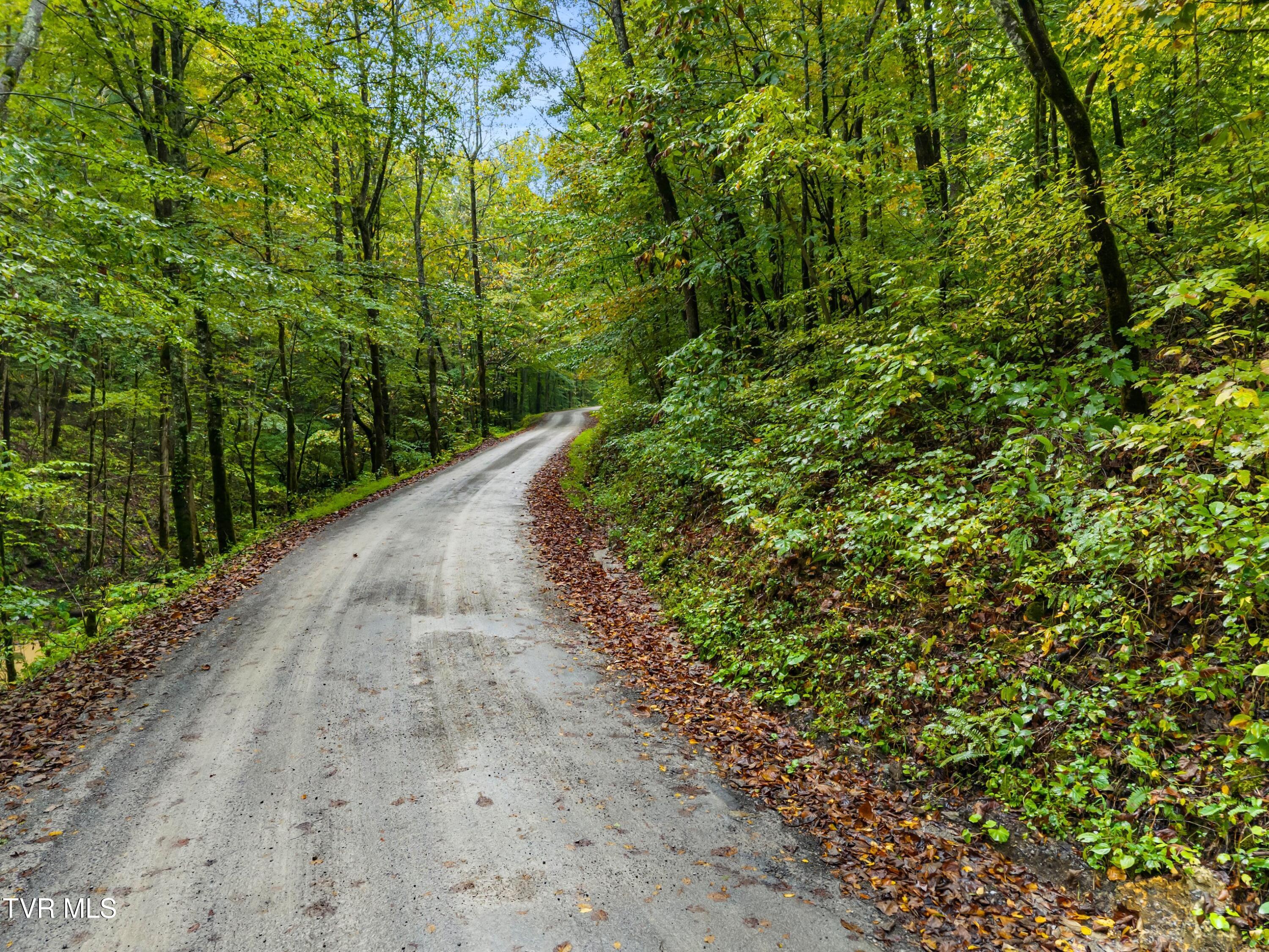 1775 Snake Hollow Road, Unit TRACT 1 Tazewell, TN 37879 - Photo 16 of 21 016-1775SnakeHollowRoad-Sneedville-TN-37