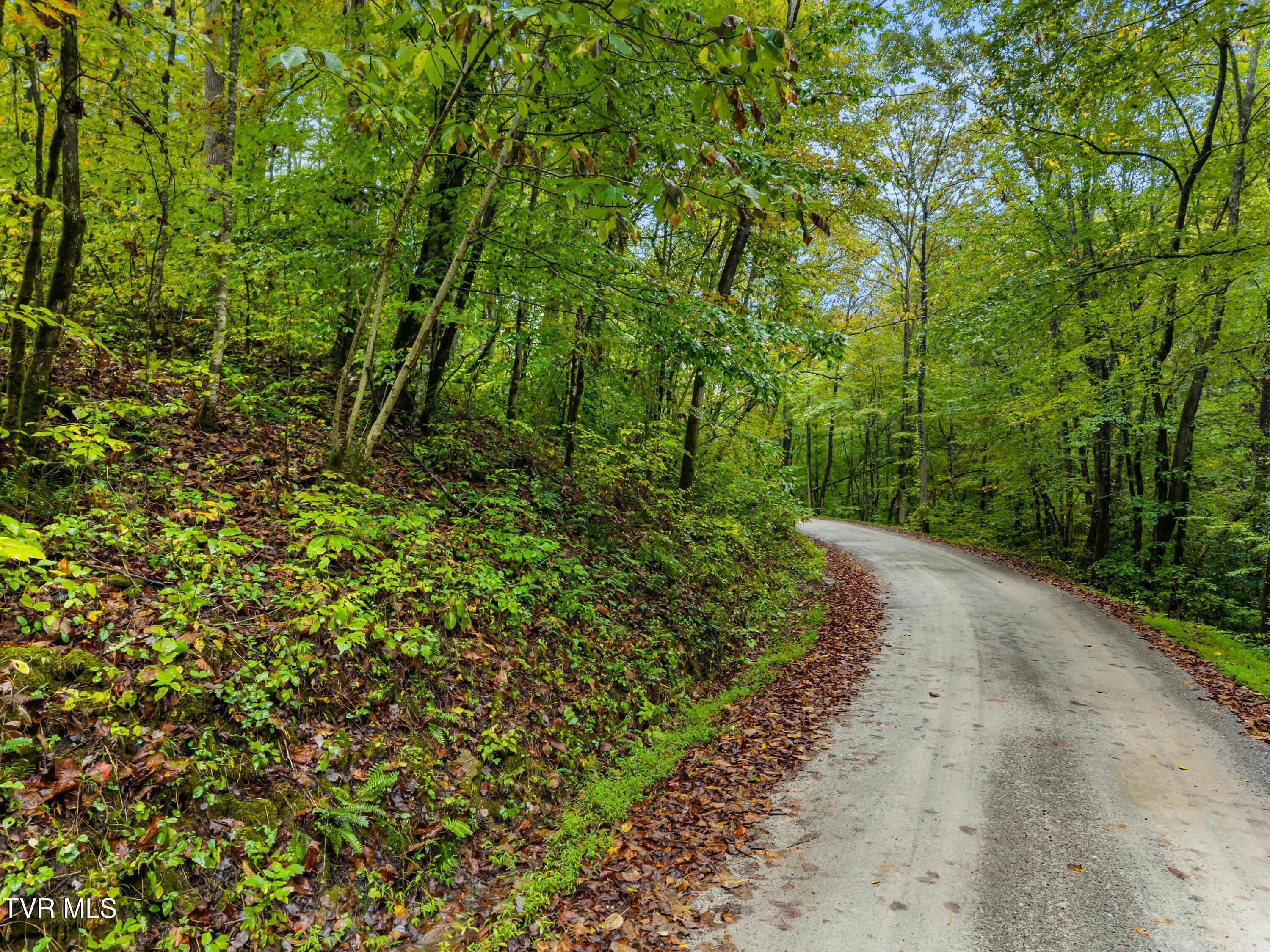 1775 Snake Hollow Road, Unit TRACT 1 Tazewell, TN 37879 - Photo 17 of 21 017-1775SnakeHollowRoad-Sneedville-TN-37