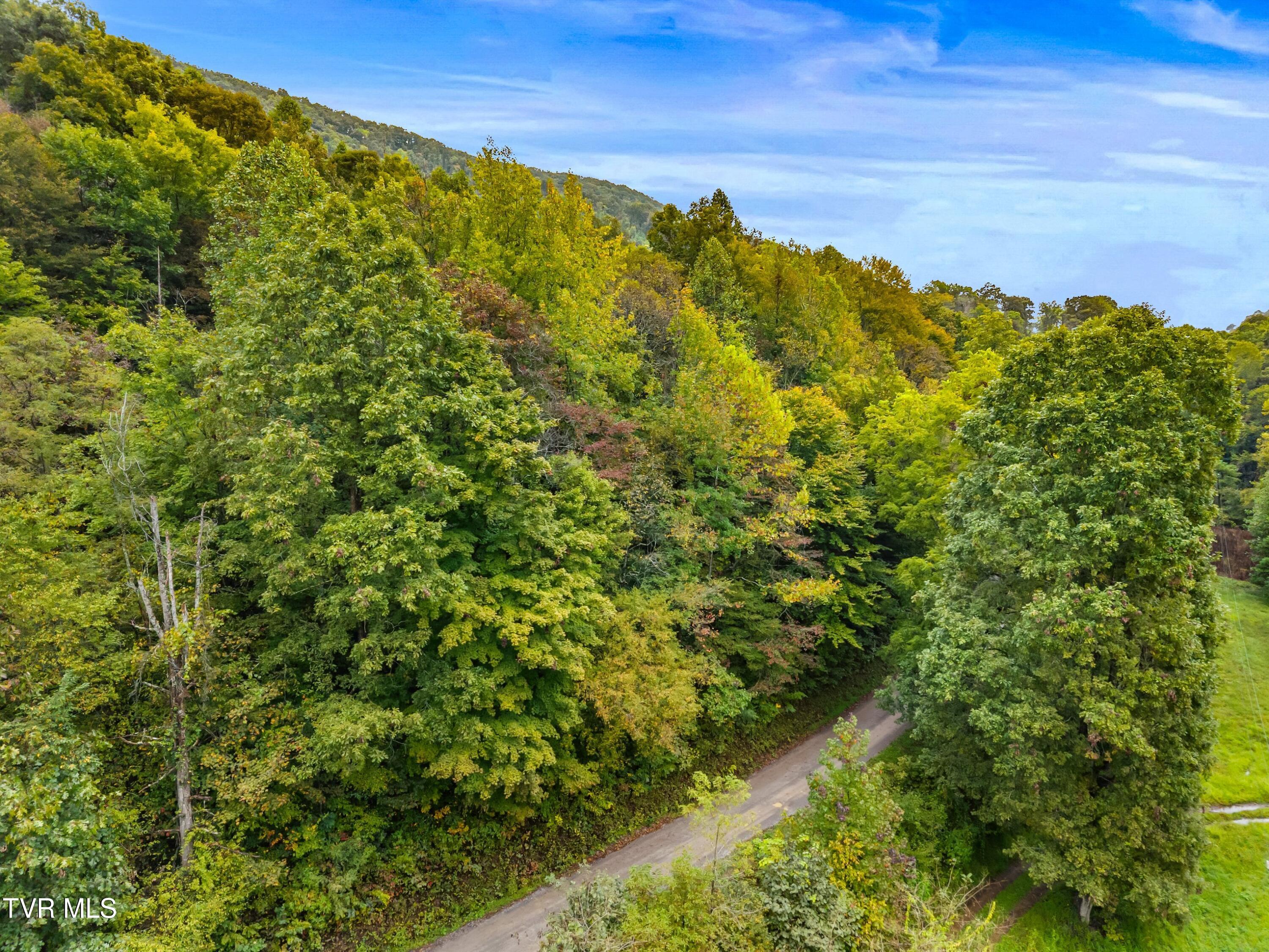 1775 Snake Hollow Road, Unit TRACT 1 Tazewell, TN 37879 - Photo 18 of 21 018-1775SnakeHollowRoad-Sneedville-TN-37