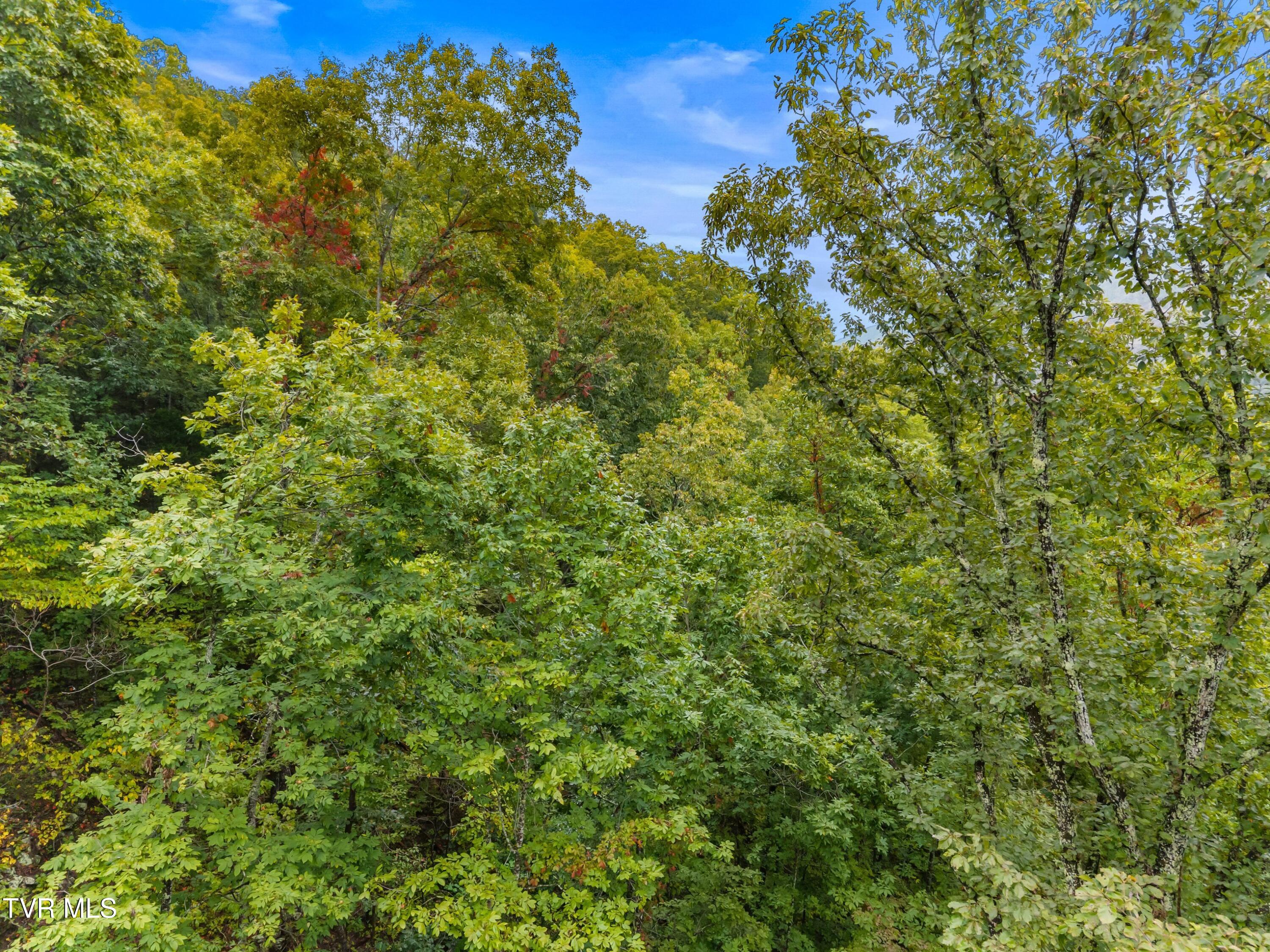 1775 Snake Hollow Road, Unit TRACT 1 Tazewell, TN 37879 - Photo 19 of 21 019-1775SnakeHollowRoad-Sneedville-TN-37