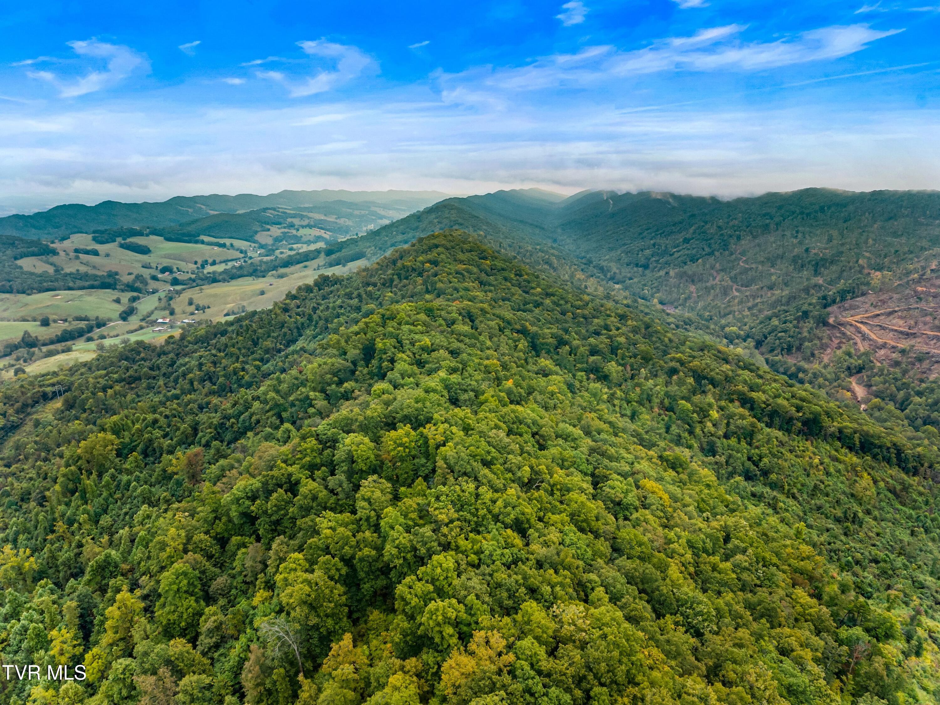 1775 Snake Hollow Road, Unit TRACT 1 Tazewell, TN 37879 - Photo 20 of 21 020-1775SnakeHollowRoad-Sneedville-TN-37