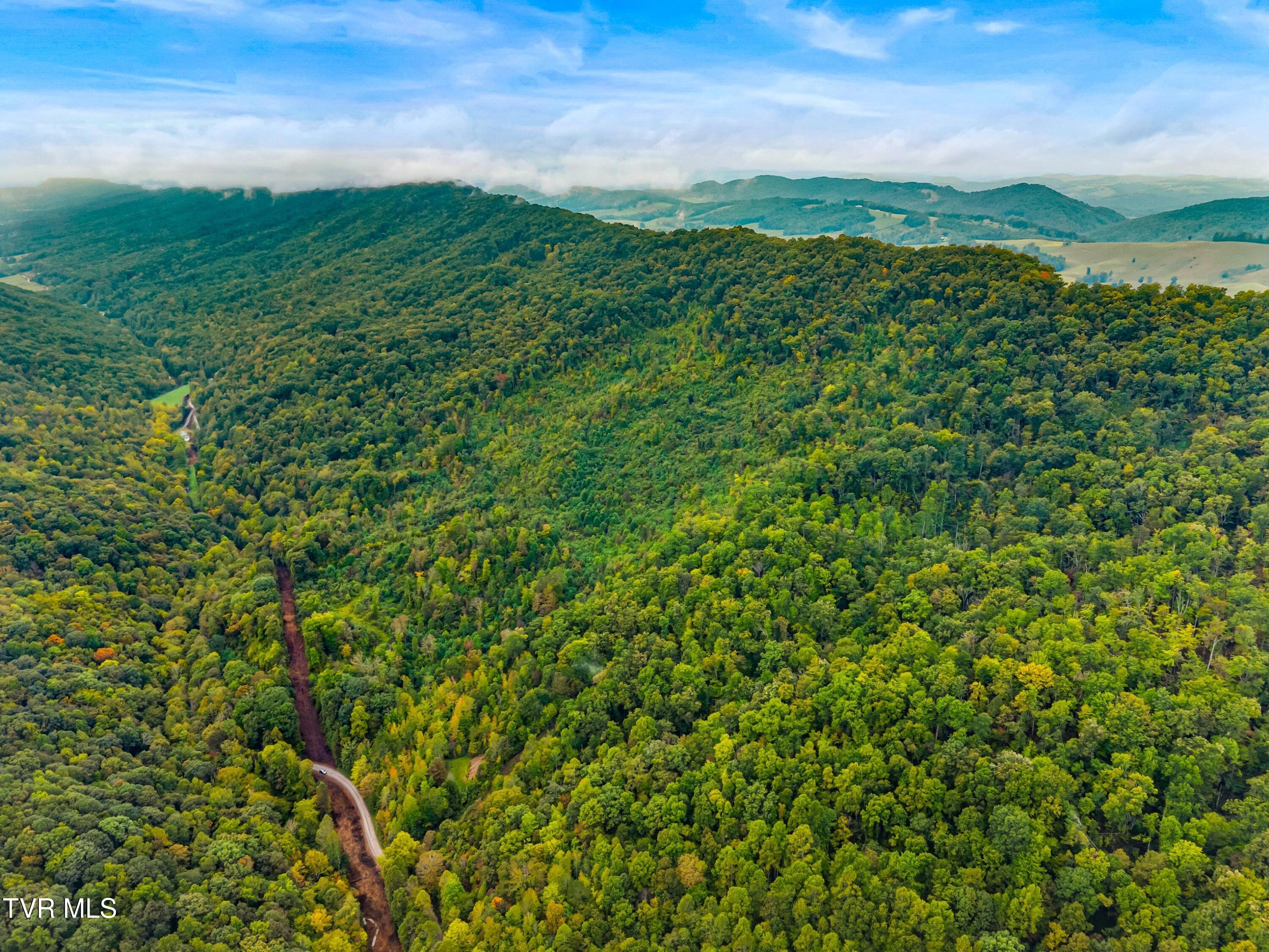 1775 Snake Hollow Road, Unit TRACT 1 Tazewell, TN 37879 - Photo 2 of 21 002-1775SnakeHollowRoad-Sneedville-TN-37