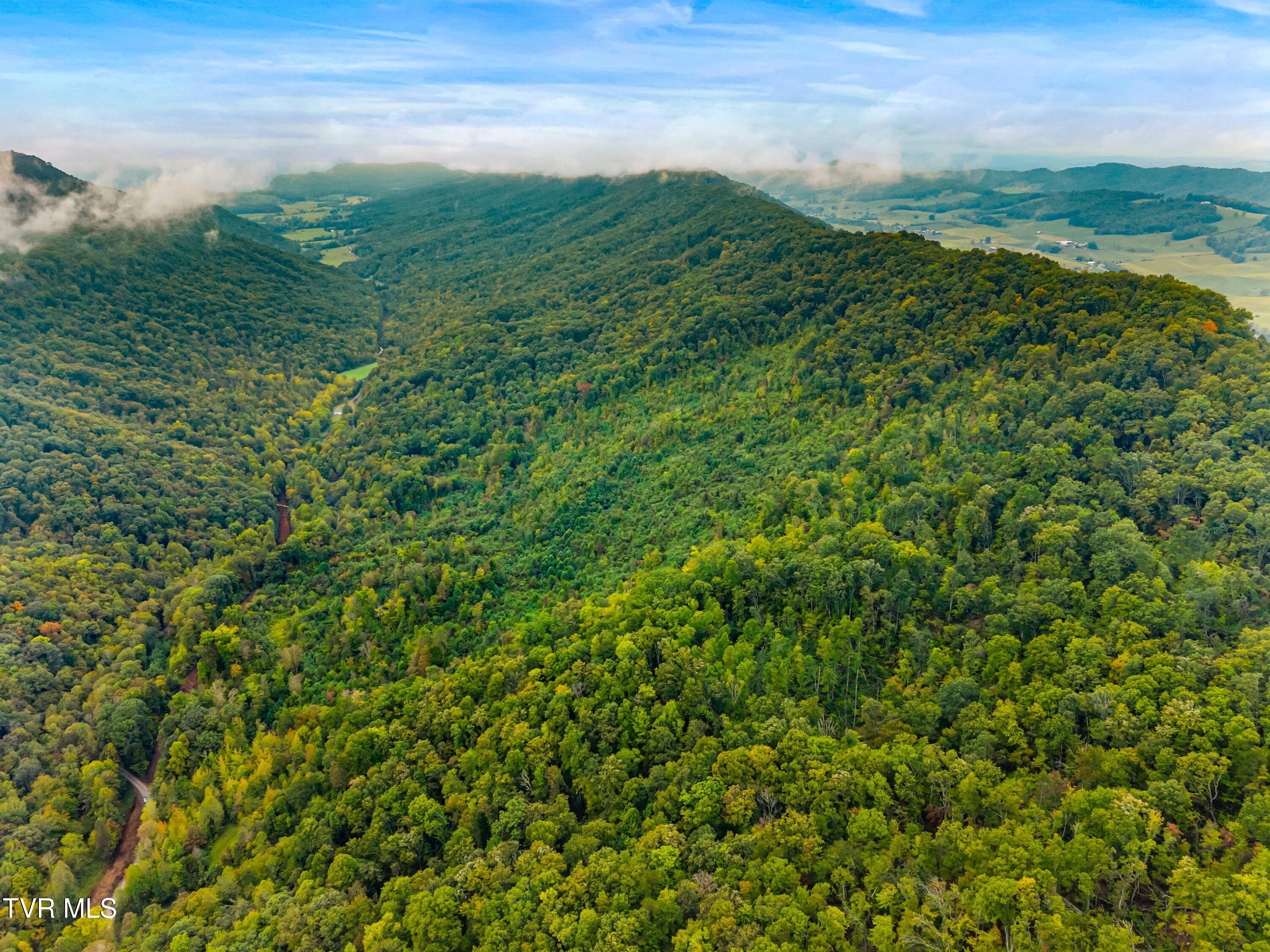 1775 Snake Hollow Road, Unit TRACT 1 Tazewell, TN 37879 - Photo 3 of 21 003-1775SnakeHollowRoad-Sneedville-TN-37