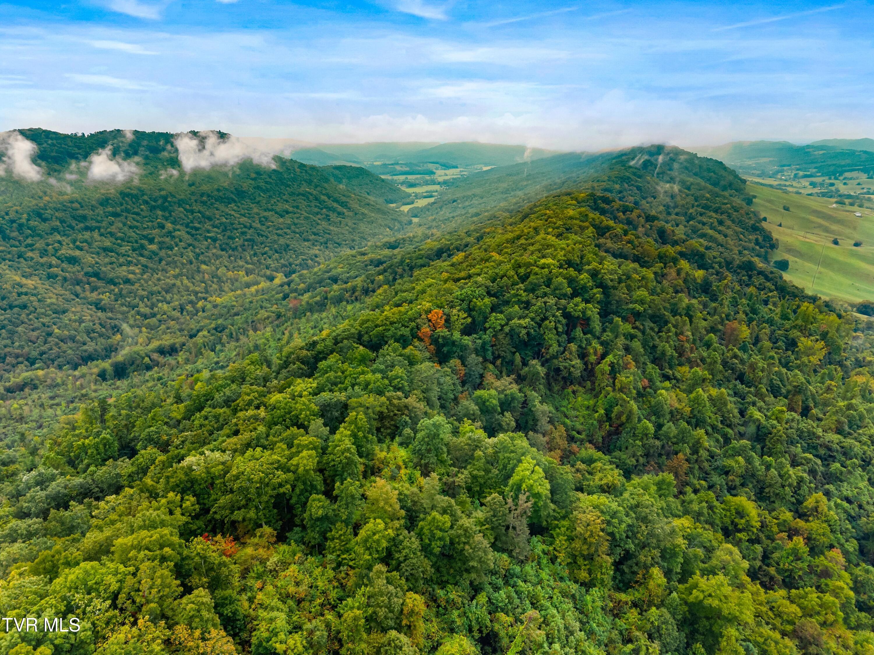 1775 Snake Hollow Road, Unit TRACT 1 Tazewell, TN 37879 - Photo 4 of 21 004-1775SnakeHollowRoad-Sneedville-TN-37