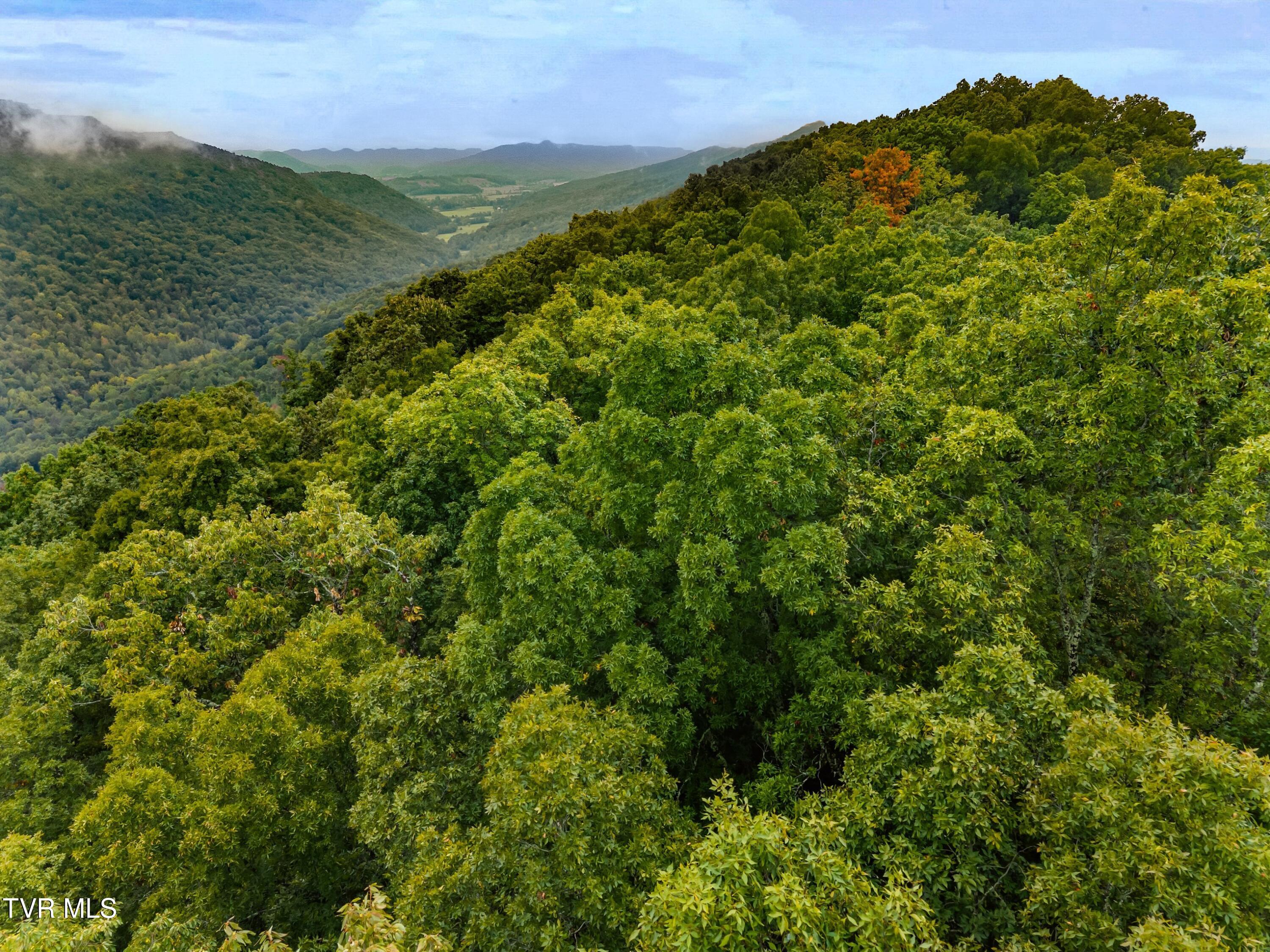1775 Snake Hollow Road, Unit TRACT 1 Tazewell, TN 37879 - Photo 5 of 21 005-1775SnakeHollowRoad-Sneedville-TN-37
