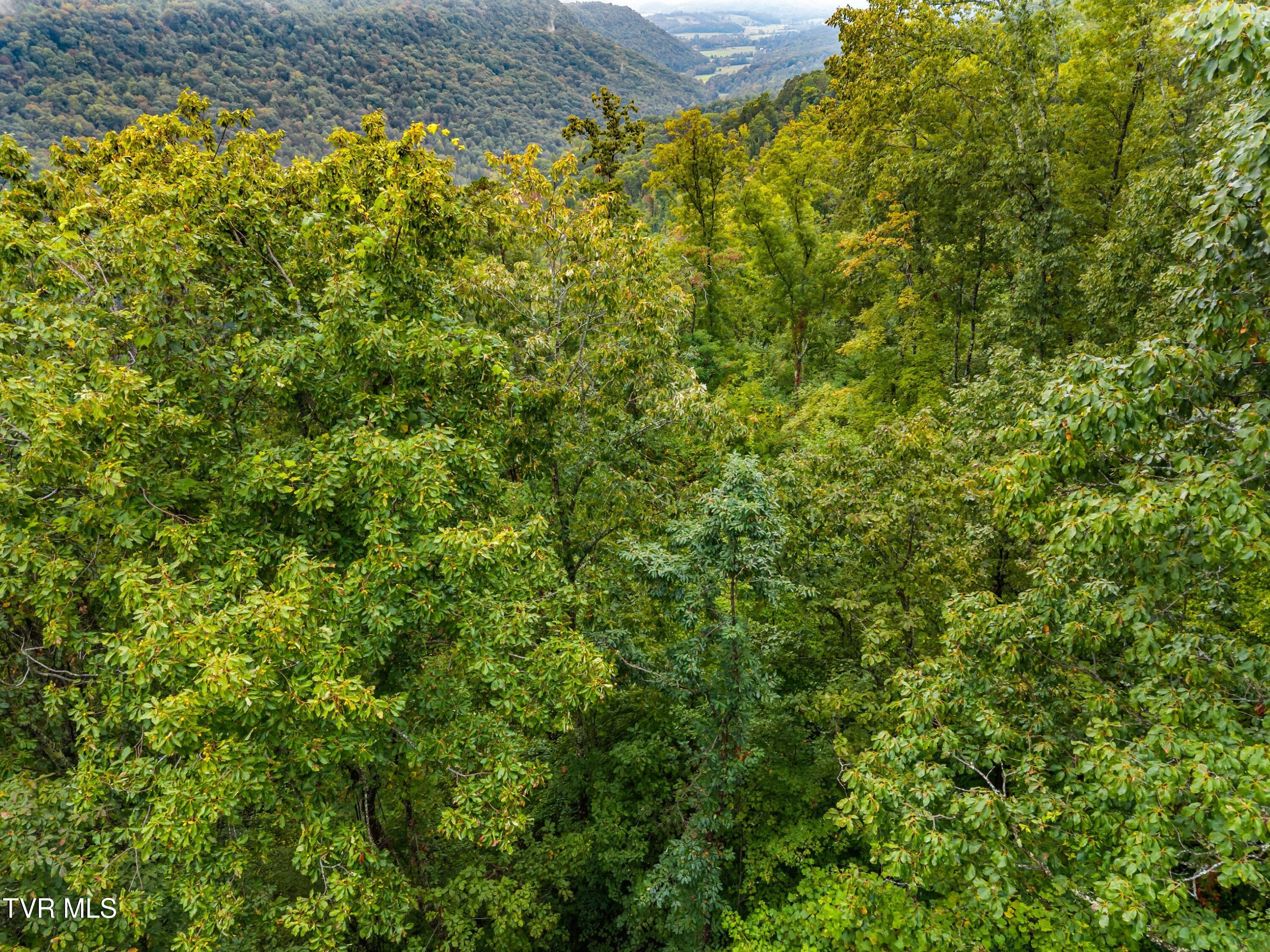 1775 Snake Hollow Road, Unit TRACT 1 Tazewell, TN 37879 - Photo 6 of 21 006-1775SnakeHollowRoad-Sneedville-TN-37