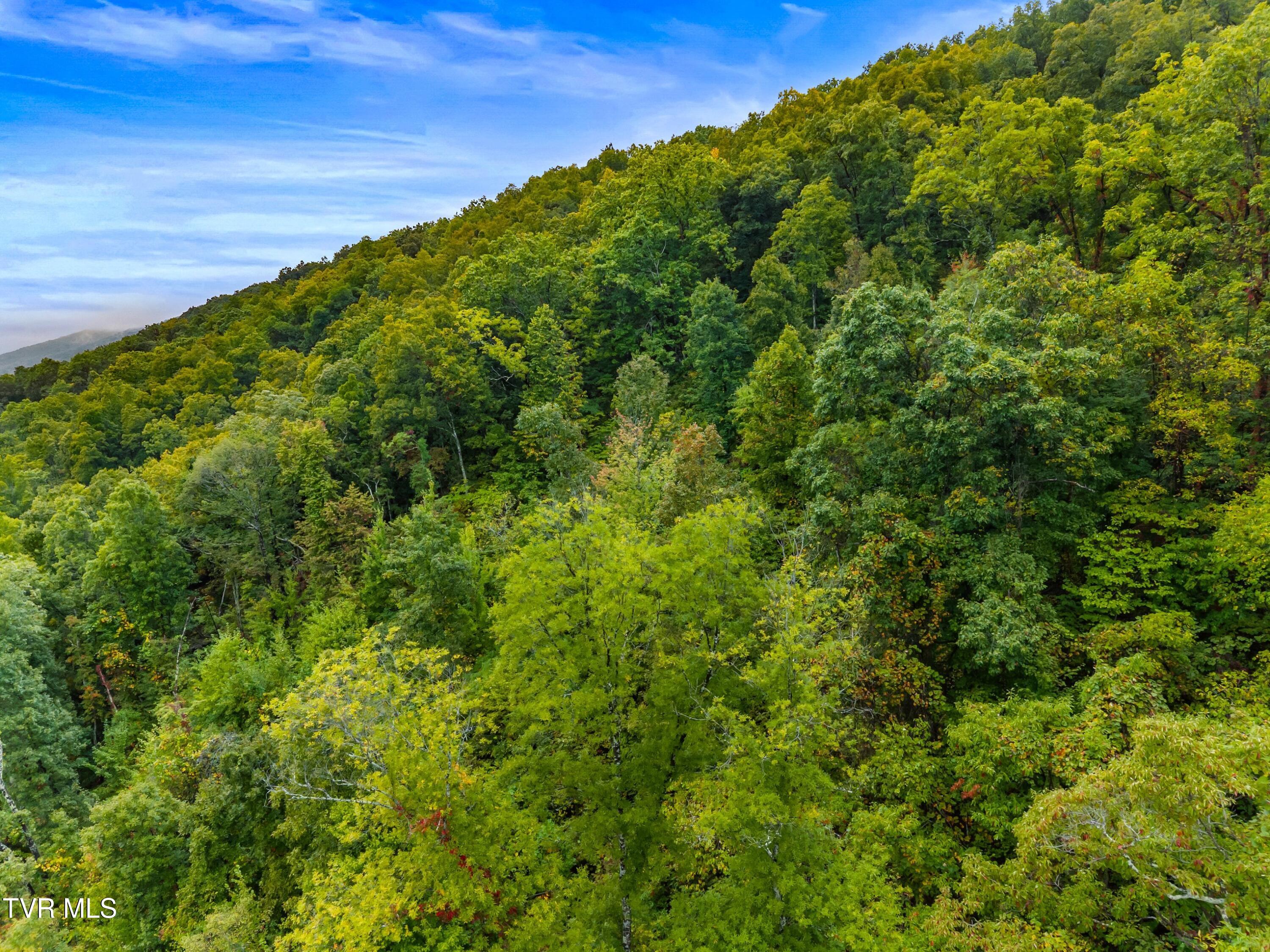 1775 Snake Hollow Road, Unit TRACT 1 Tazewell, TN 37879 - Photo 7 of 21 007-1775SnakeHollowRoad-Sneedville-TN-37