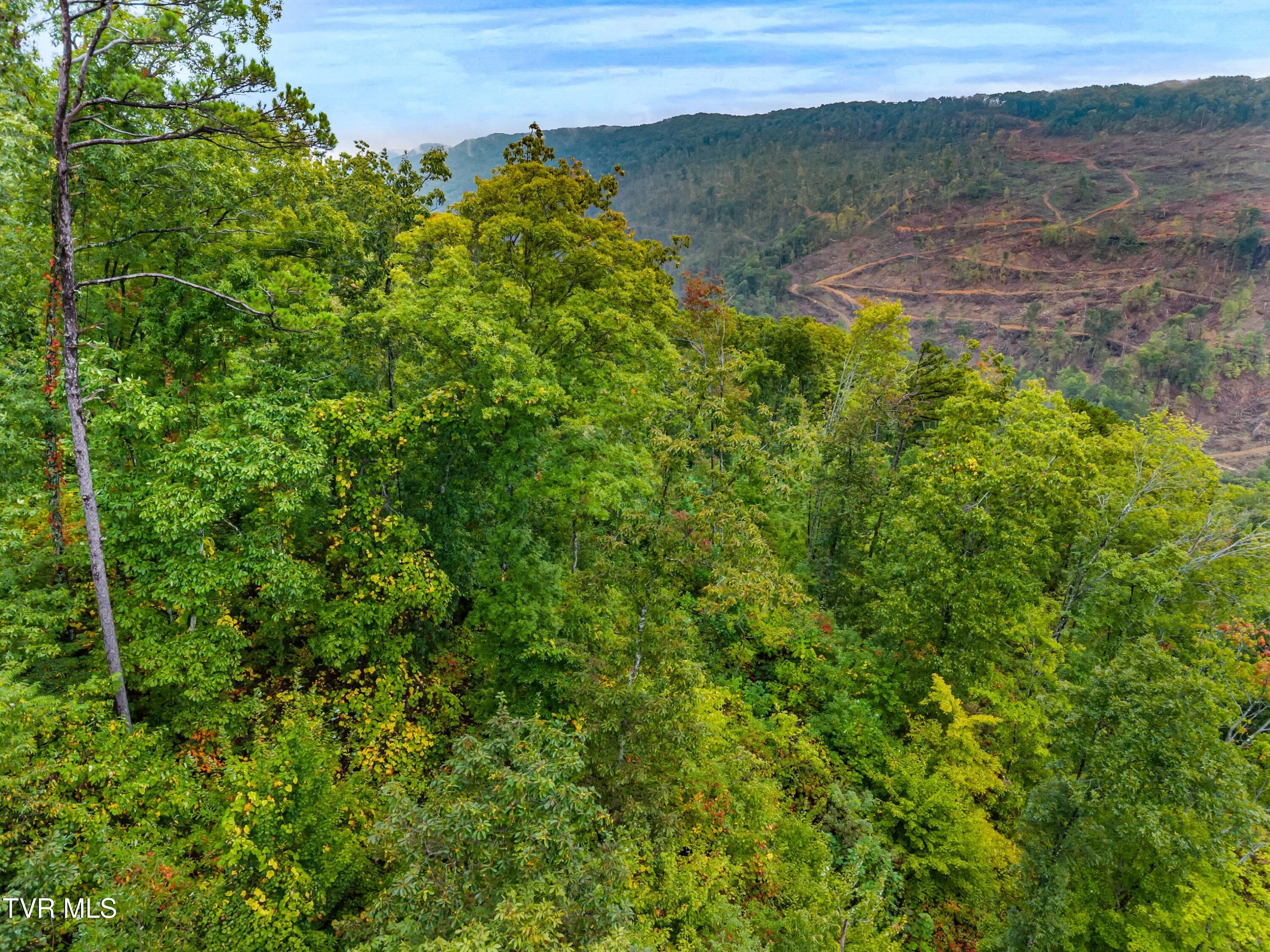 1775 Snake Hollow Road, Unit TRACT 1 Tazewell, TN 37879 - Photo 8 of 21 008-1775SnakeHollowRoad-Sneedville-TN-37