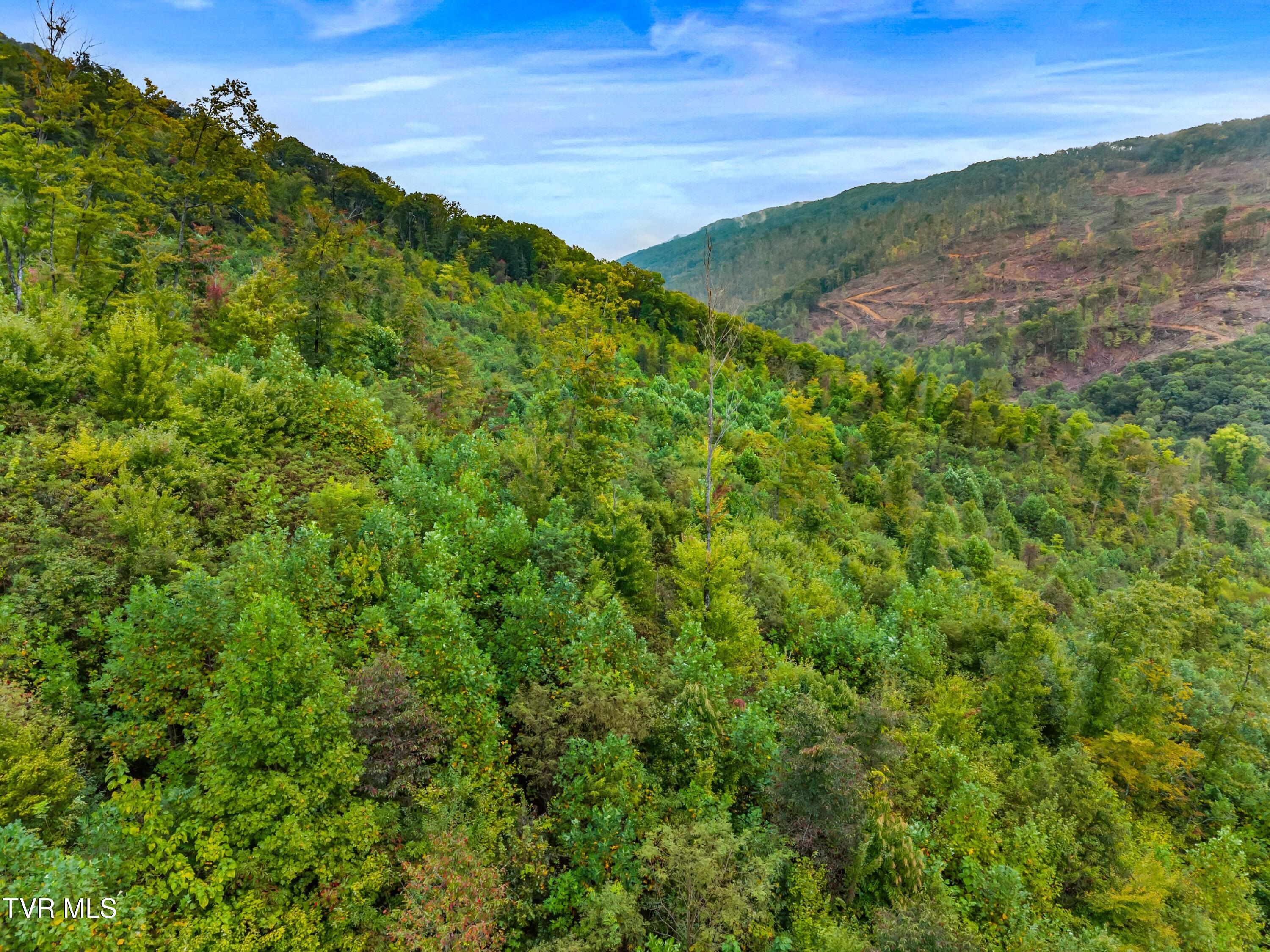 1775 Snake Hollow Road, Unit TRACT 1 Tazewell, TN 37879 - Photo 9 of 21 009-1775SnakeHollowRoad-Sneedville-TN-37