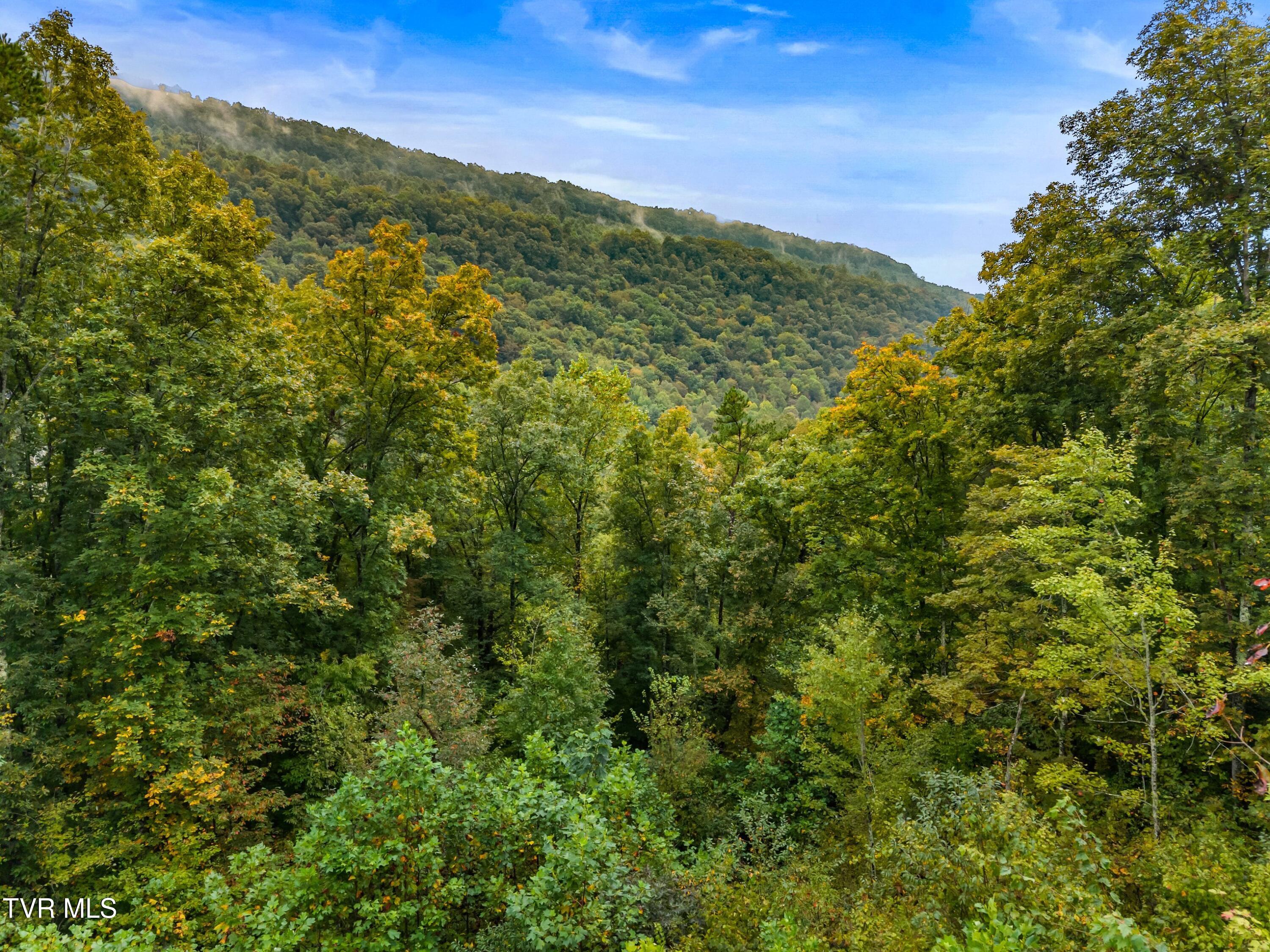 1775 Snake Hollow Road, Unit TRACT 1 Tazewell, TN 37879 - Photo 10 of 21 010-1775SnakeHollowRoad-Sneedville-TN-37