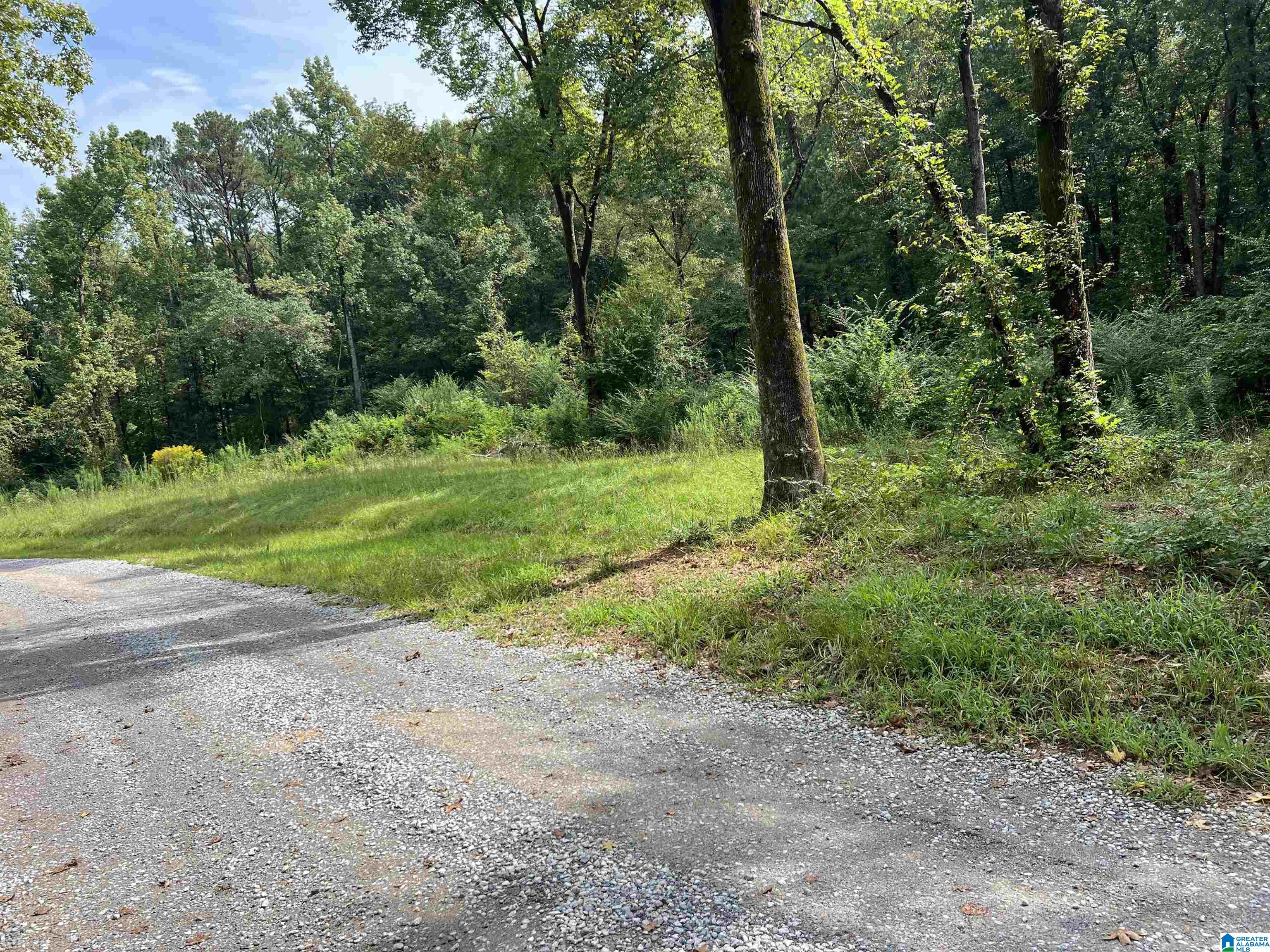 58 Rustic Oaks Drive Sterrett, AL 35147 - Photo 27 of 30