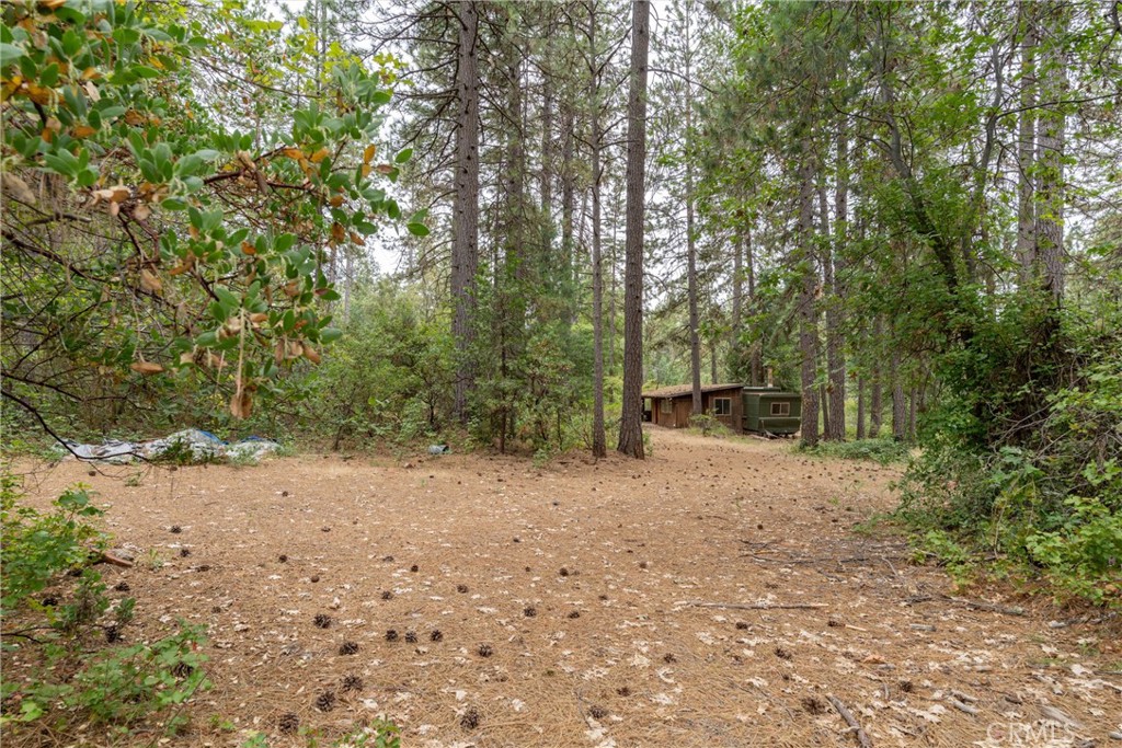 15184 Siwini Road Forest Ranch, CA 95942 - Photo 40 of 75