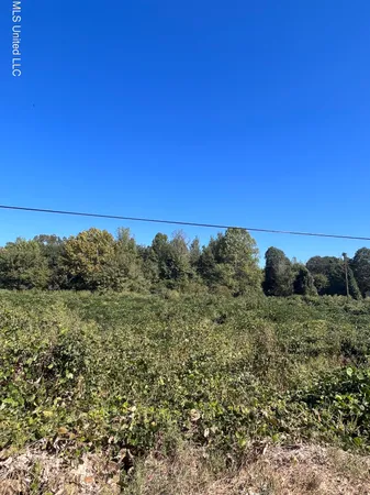 $22,000 | Lucius Taylor Road, Como, MS 38619