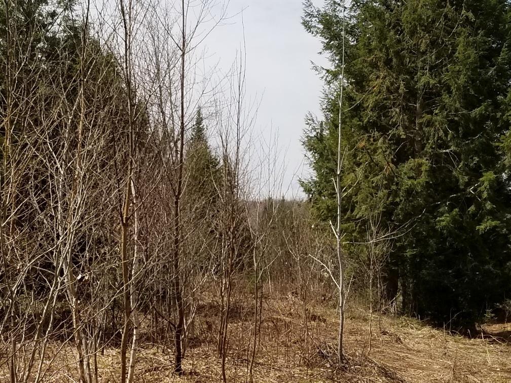 0 Weeks Mills Road New Sharon, ME 04955 - Photo 16 of 38 lot