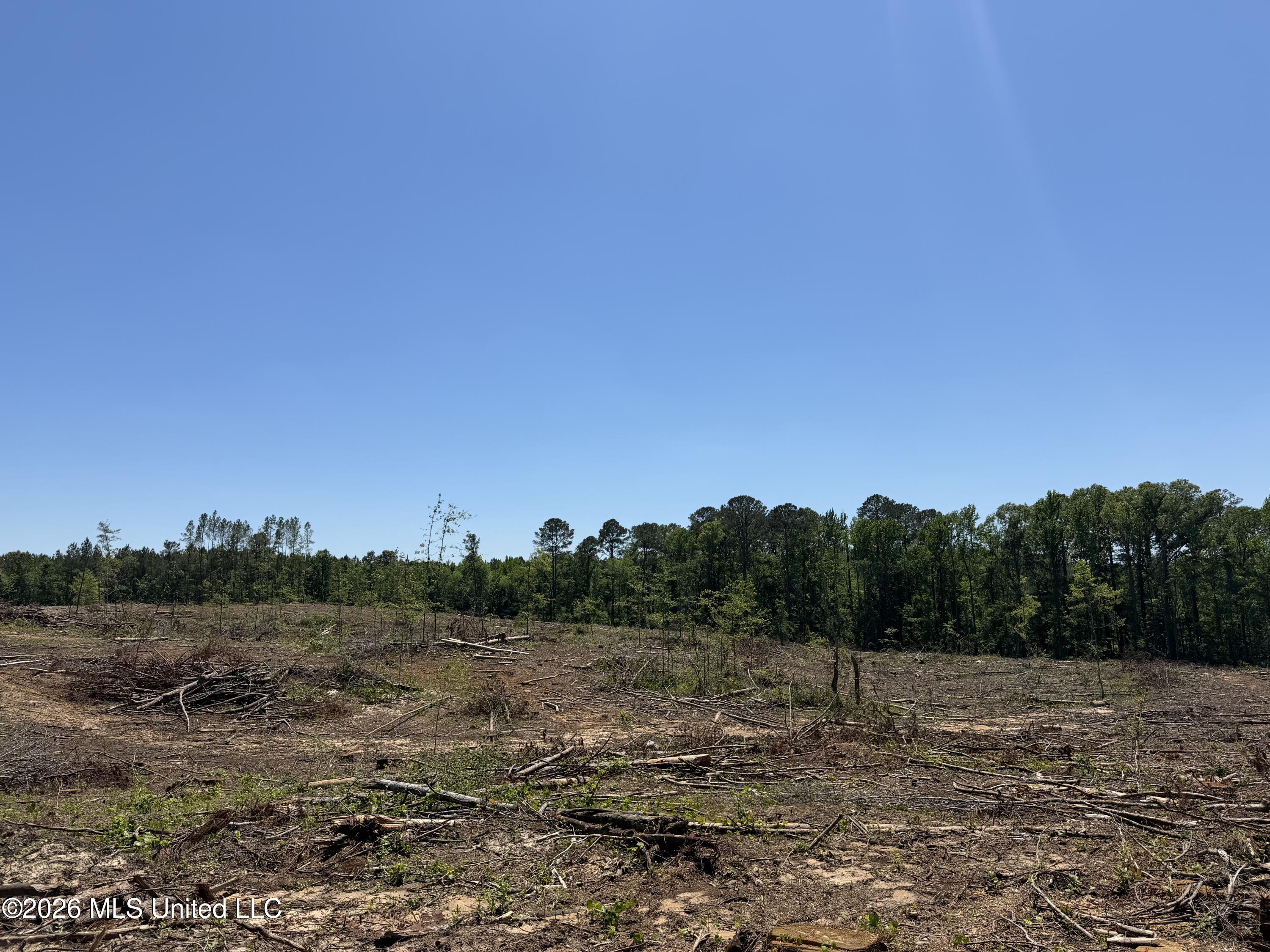 Couparle Road Camden, MS 39045 - Photo 18 of 47 Photo May 12 2026, 2 04 18 PM