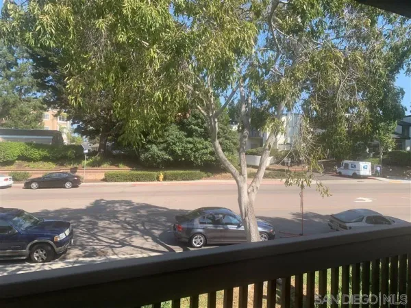 a view of a yard with street