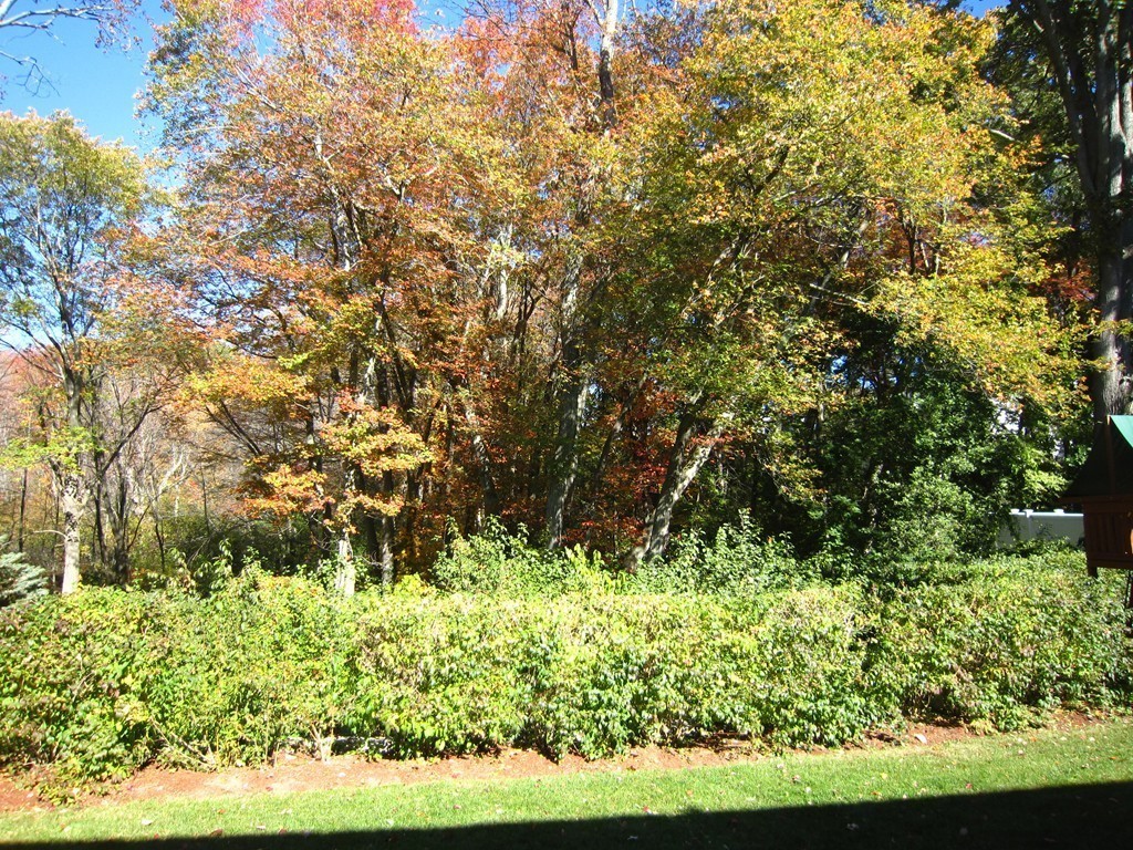 72 Kingston Road Waltham, MA 02451 - Photo 29 of 29 Gallery Image 29