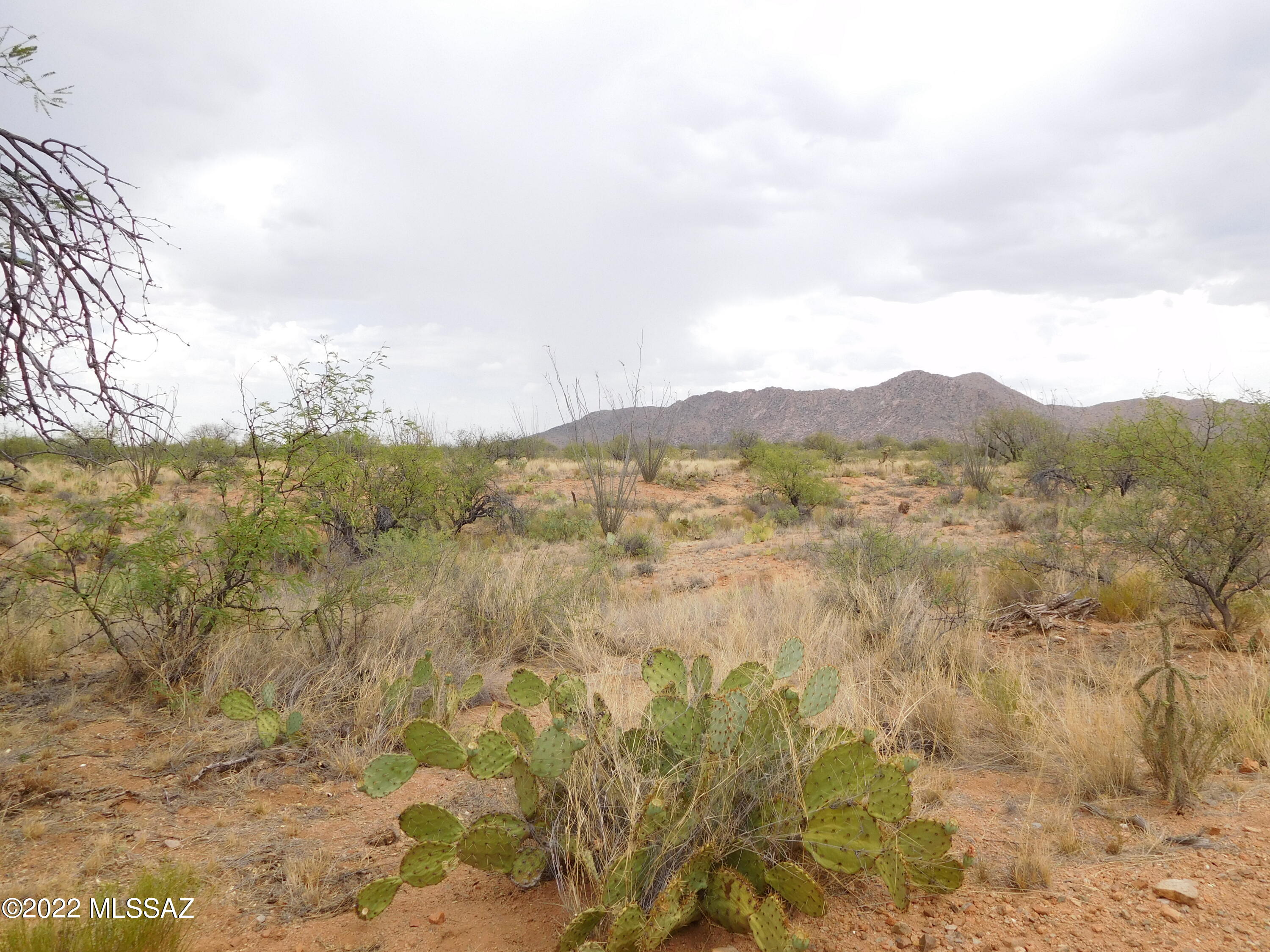16705 South Sierrita Mountain Road Tucson, AZ 85736 - Photo 2 of 38