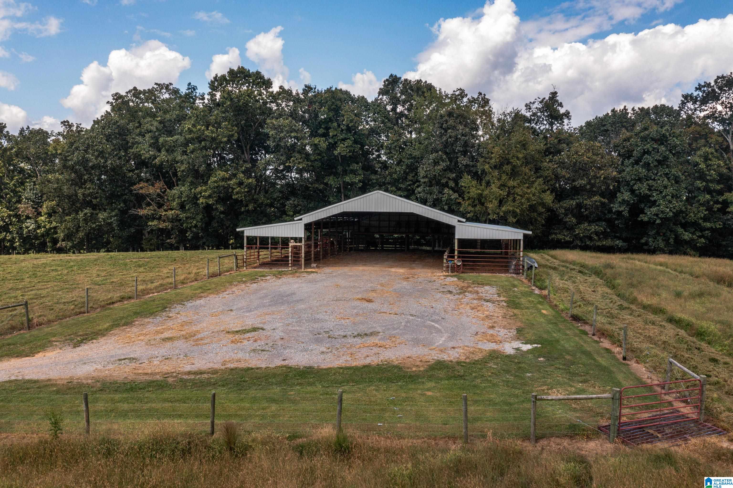 3124 County Road 39 Oneonta, AL 35121 - Photo 77 of 98