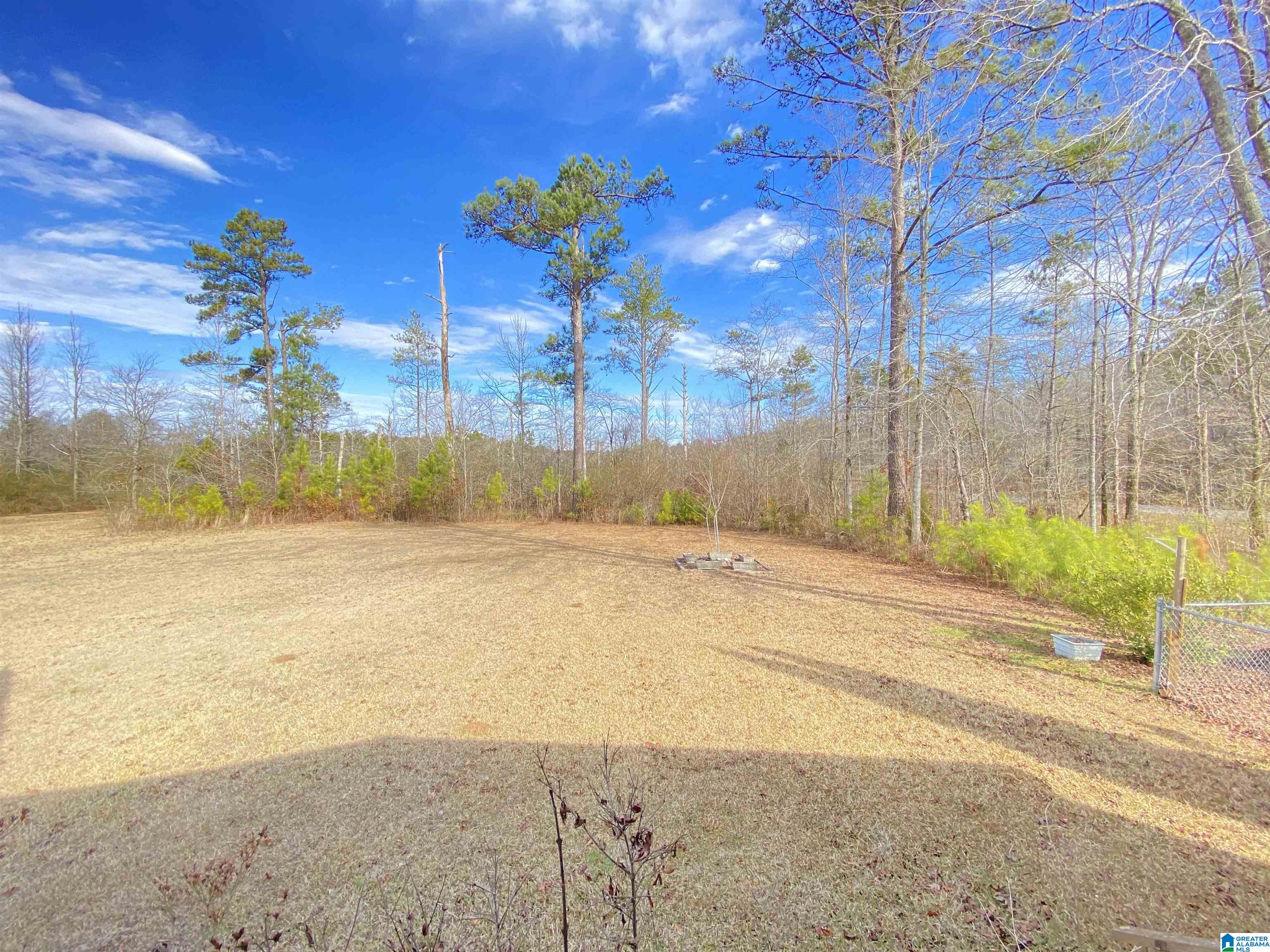 20 Friendship Drive Springville, AL 35146 - Photo 52 of 62