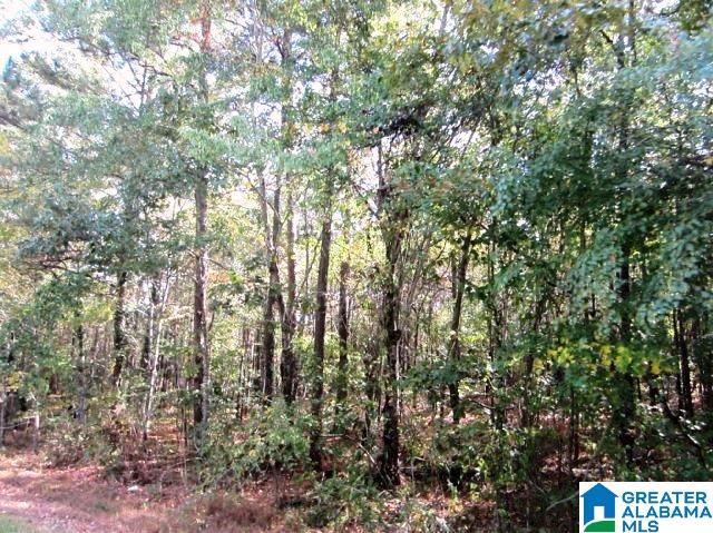 112 Pleasant Grove Road Lineville, AL 36266 - Photo 12 of 14