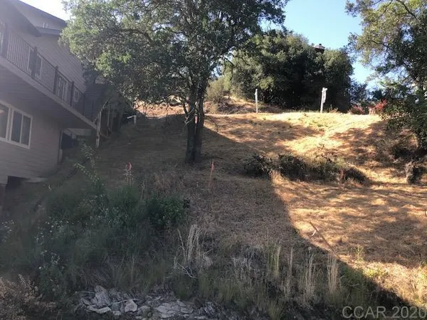 a view of a yard with a tree