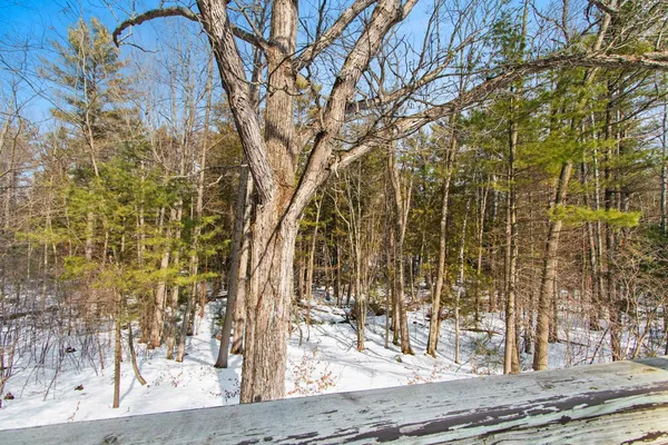 $415,000 | 6722 Oconto River Shores Lane, Oconto Falls, WI 54154