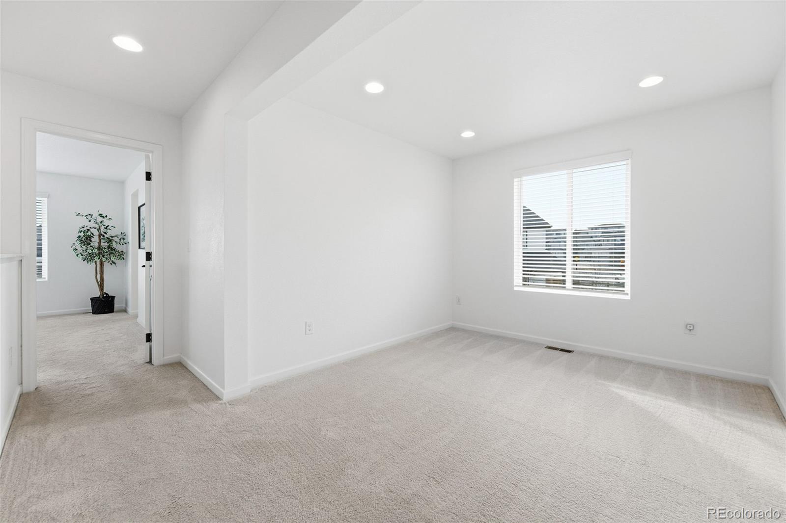 6552 Steuben Way Castle Pines, CO 80108 - Photo 20 of 50