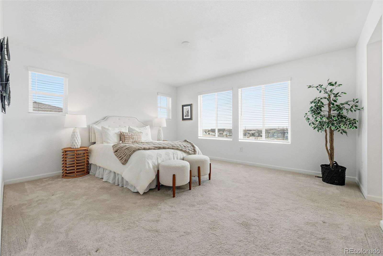 6552 Steuben Way Castle Pines, CO 80108 - Photo 22 of 50