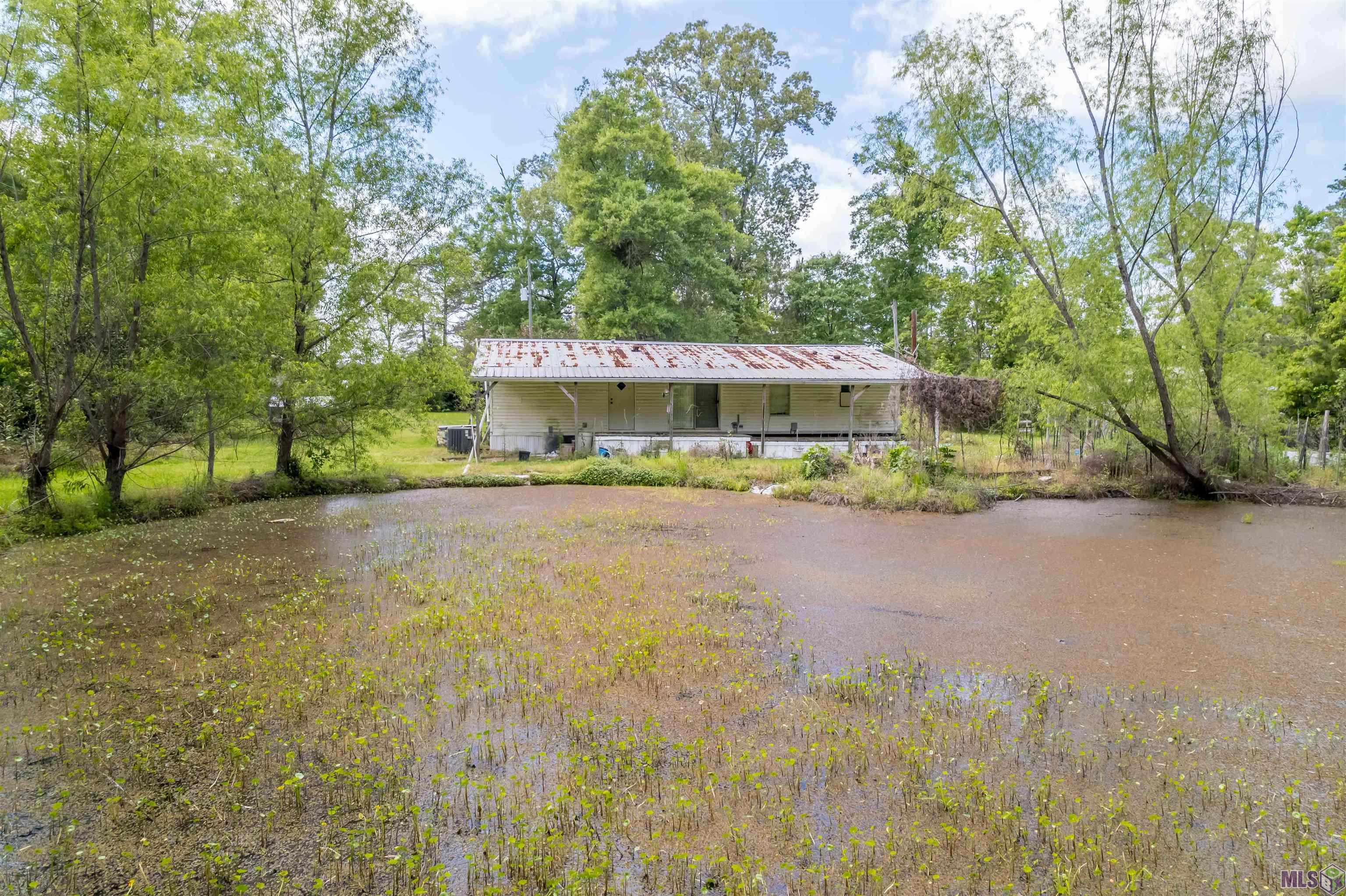 36162 Walker North Road Walker, LA 70785 - Photo 9 of 11