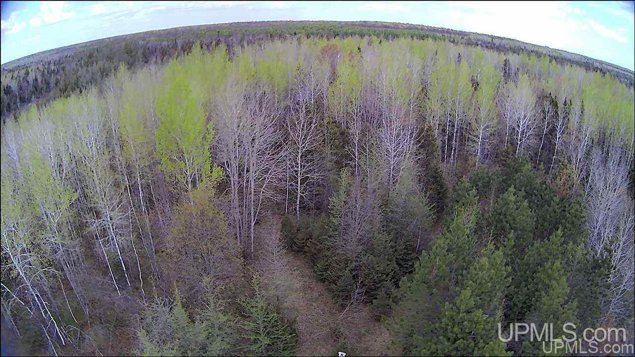 Tbd Tbd Co Road, Unit 1 Marquette, MI 49855 - Photo 8 of 50