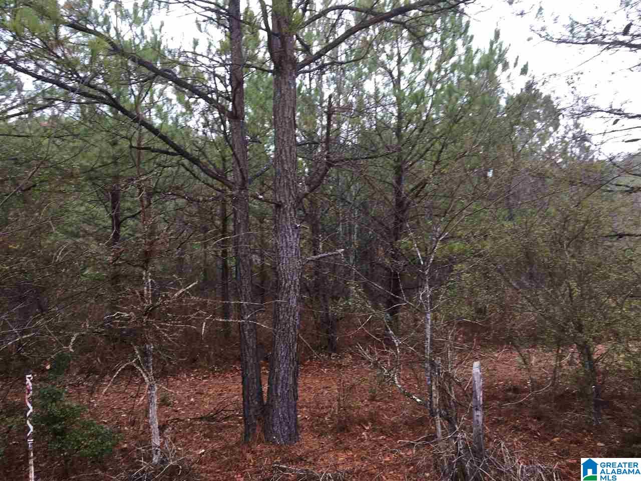 Old Choccolocco Road, Unit 97 Weaver, AL 36277 - Photo 20 of 27