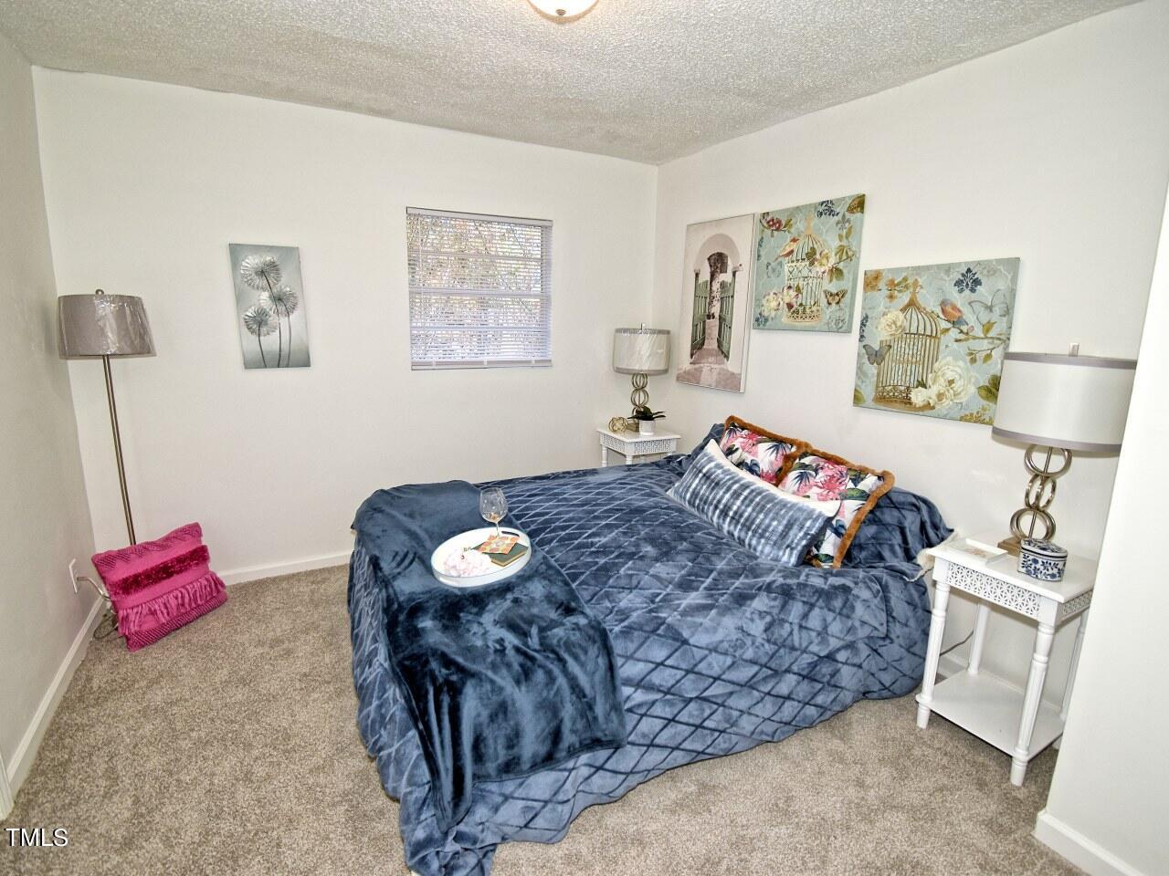 1003 Cook Road Durham, NC 27713 - Photo 12 of 22 DSC_0021