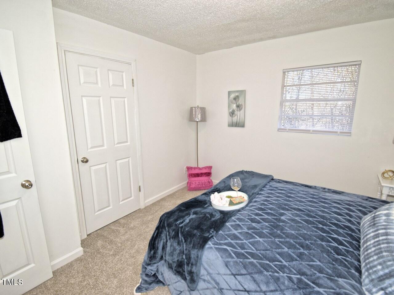 1003 Cook Road Durham, NC 27713 - Photo 13 of 22 DSC_0024