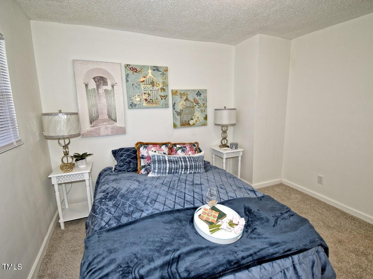 1003 Cook Road Durham, NC 27713 - Photo 14 of 22 DSC_0027