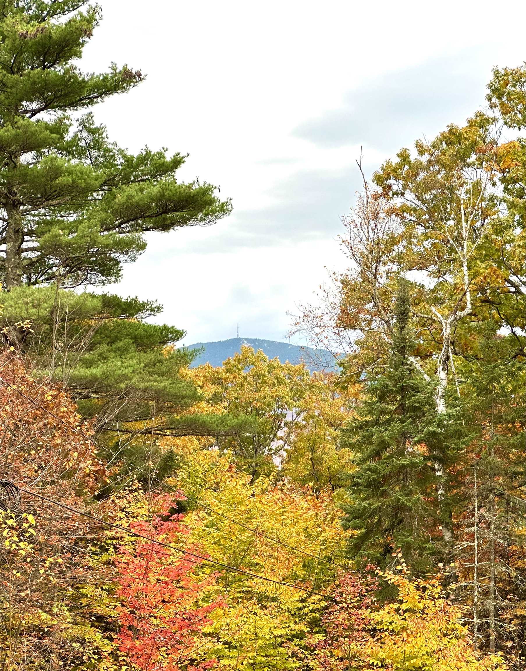 151 Beech Hill Road Andover, NH 03216 - Photo 28 of 28