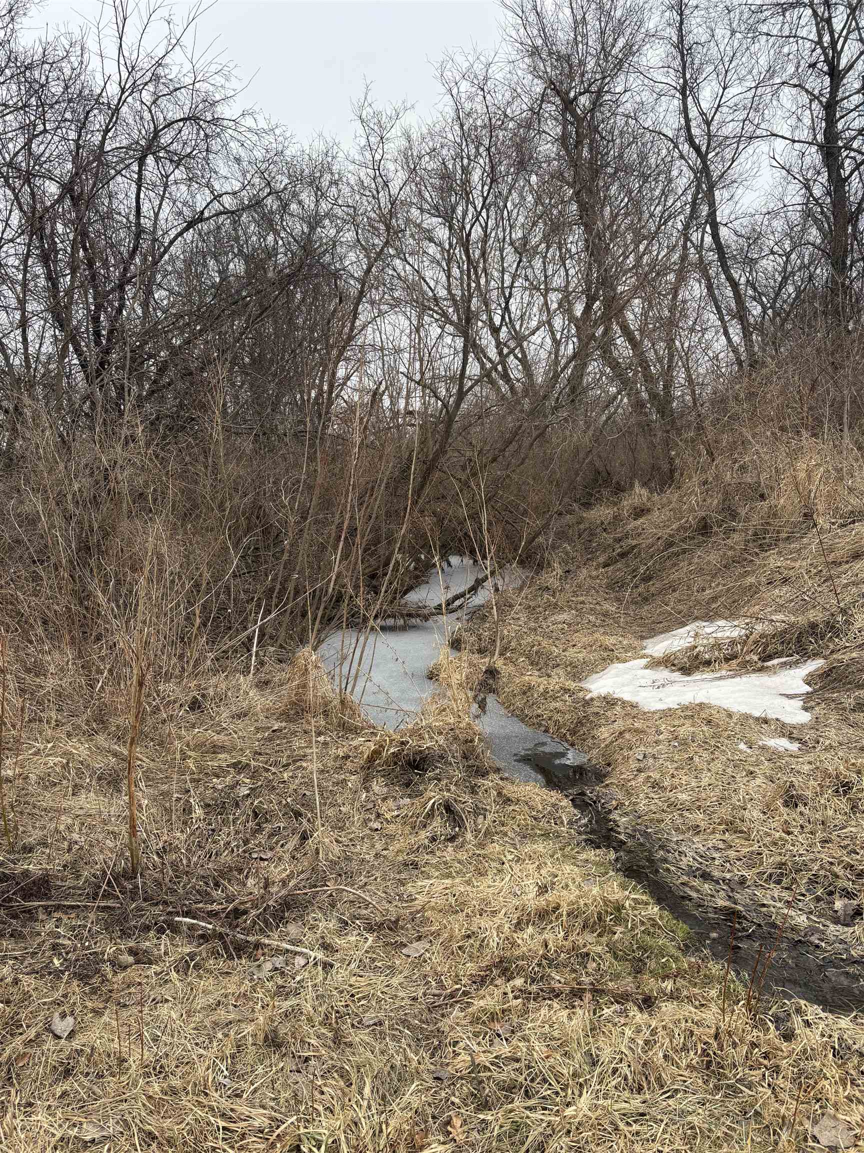 Xxxx Il Rt 173 Harvard, IL 60033 - Photo 8 of 8