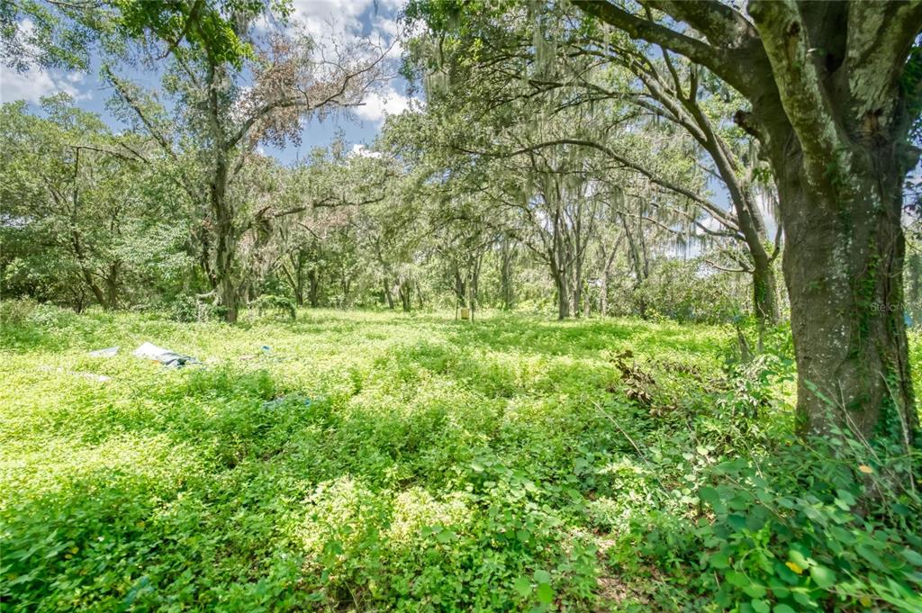 3113 North Wilder Road Plant City, FL 33563 - Photo 11 of 55