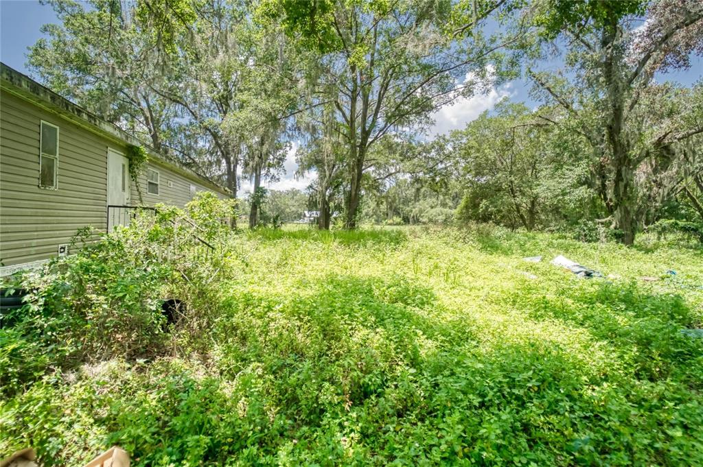 3113 North Wilder Road Plant City, FL 33563 - Photo 12 of 55